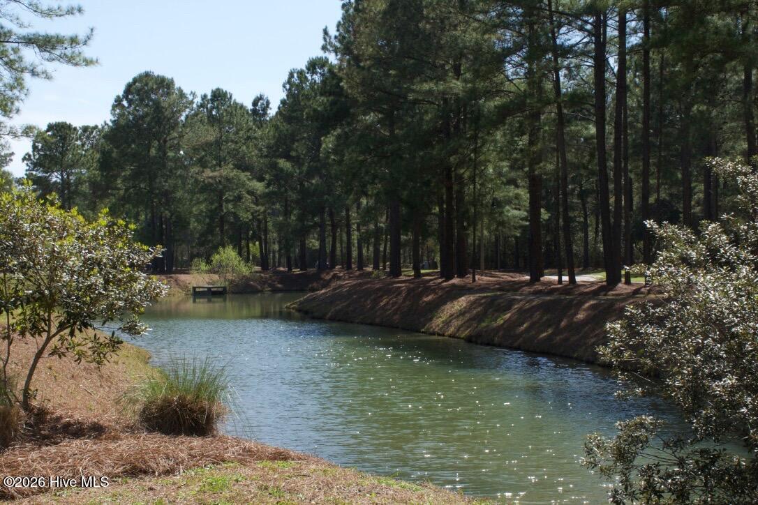 100567329 | Photo 10