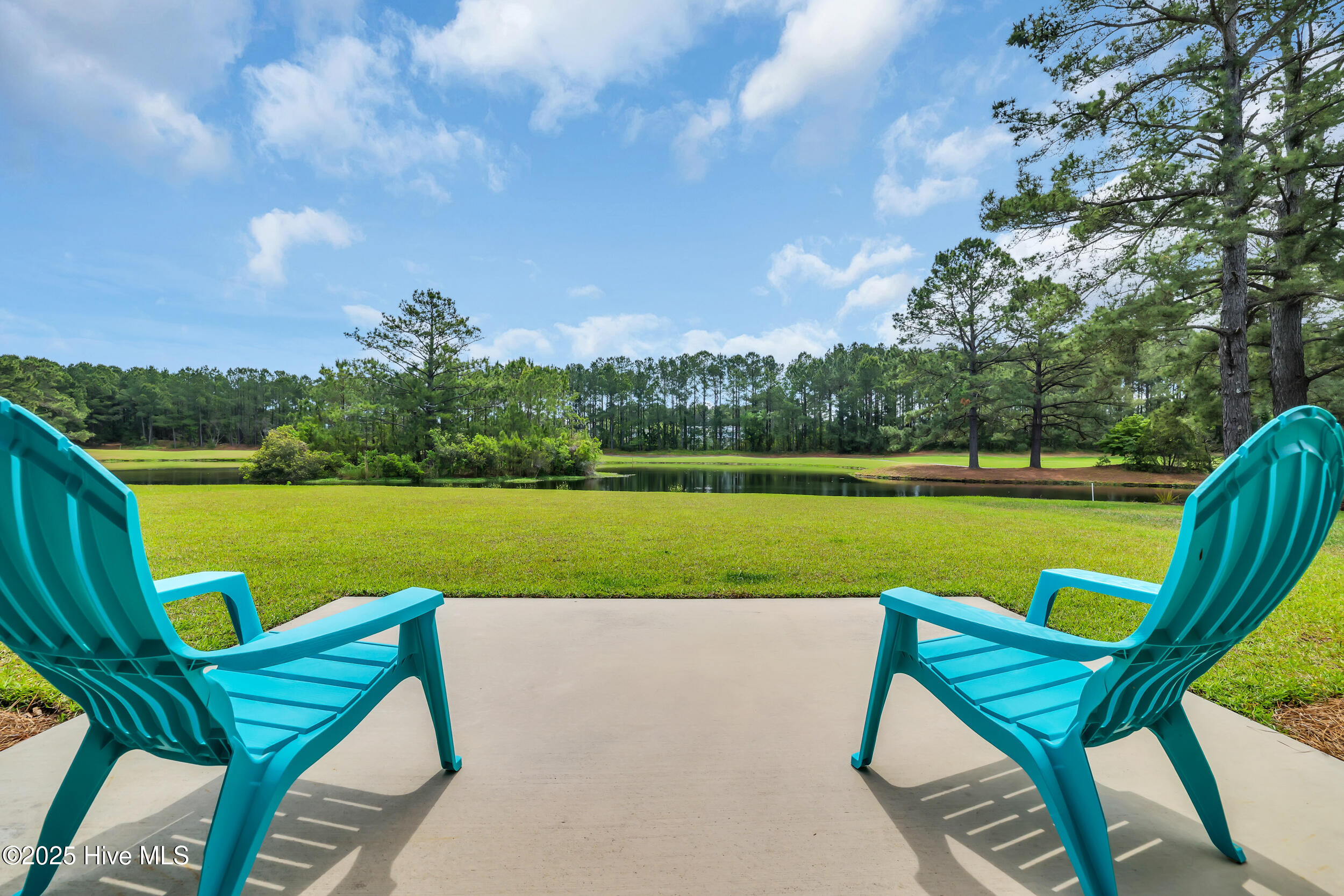 100502745 | Photo 38