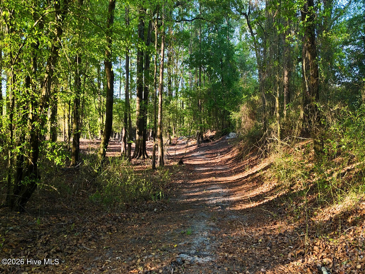 0 Durwood Evans Road, Beulaville, NC, 28518