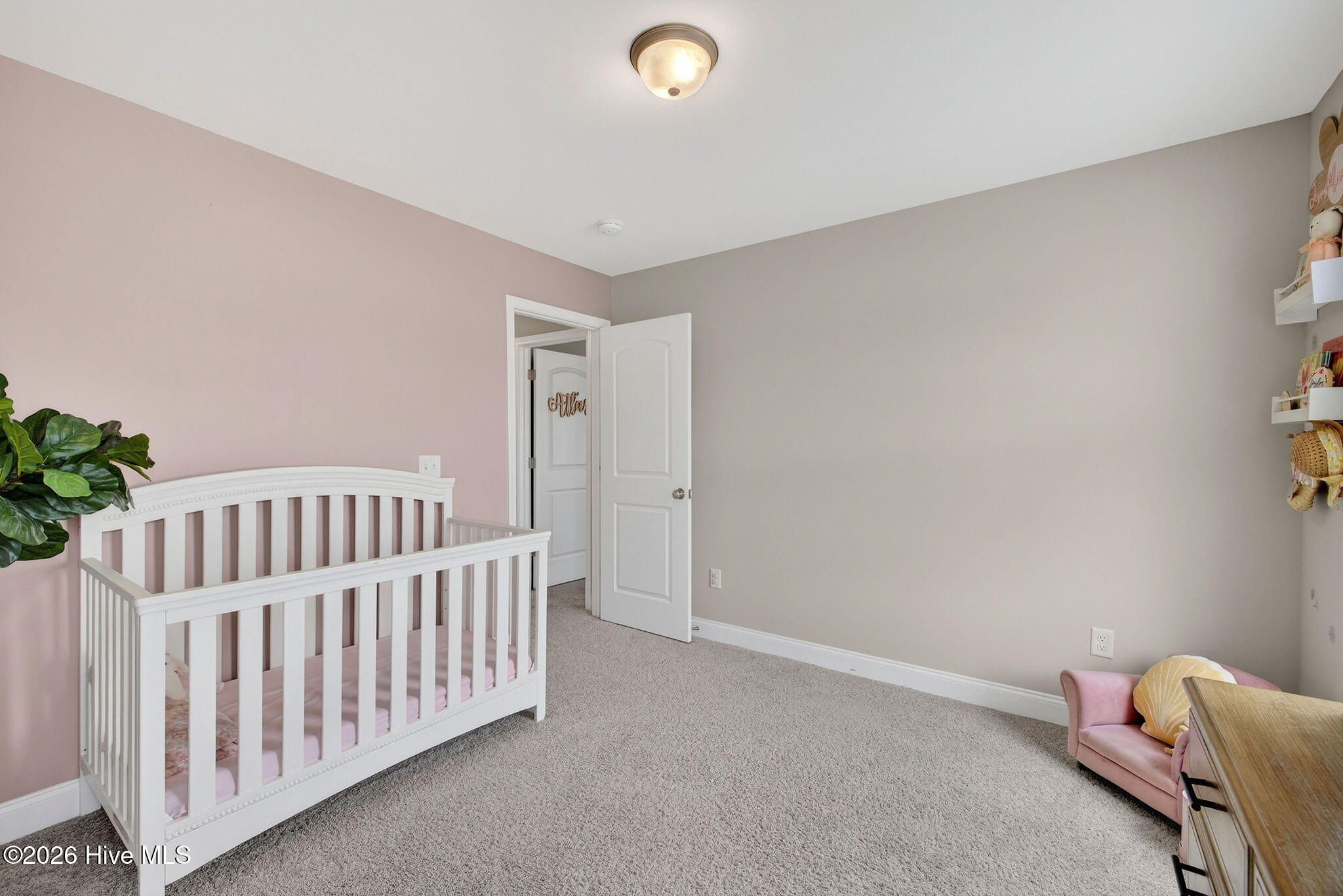 100563474 | Photo 14