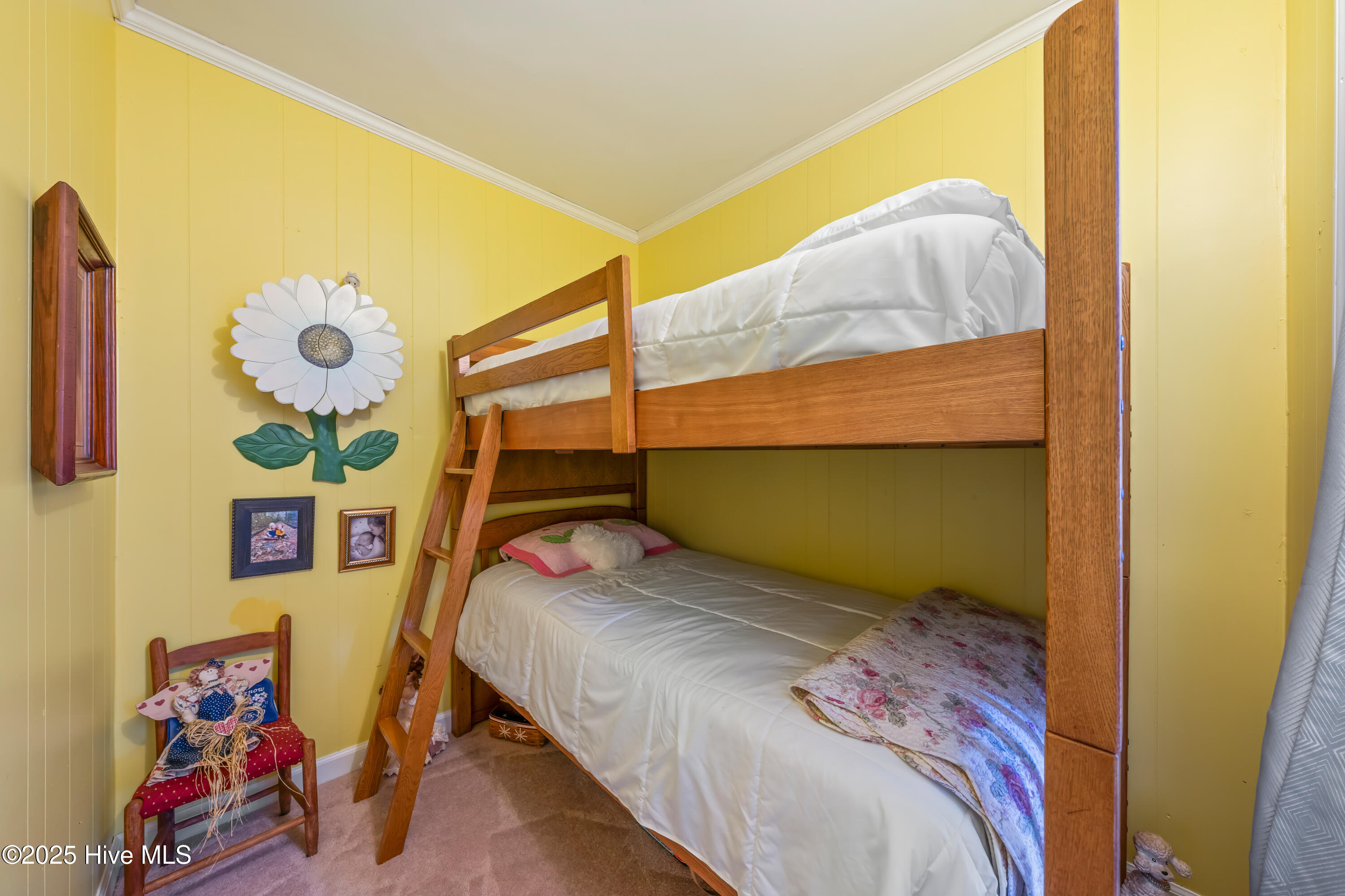 100557788 | Photo 50