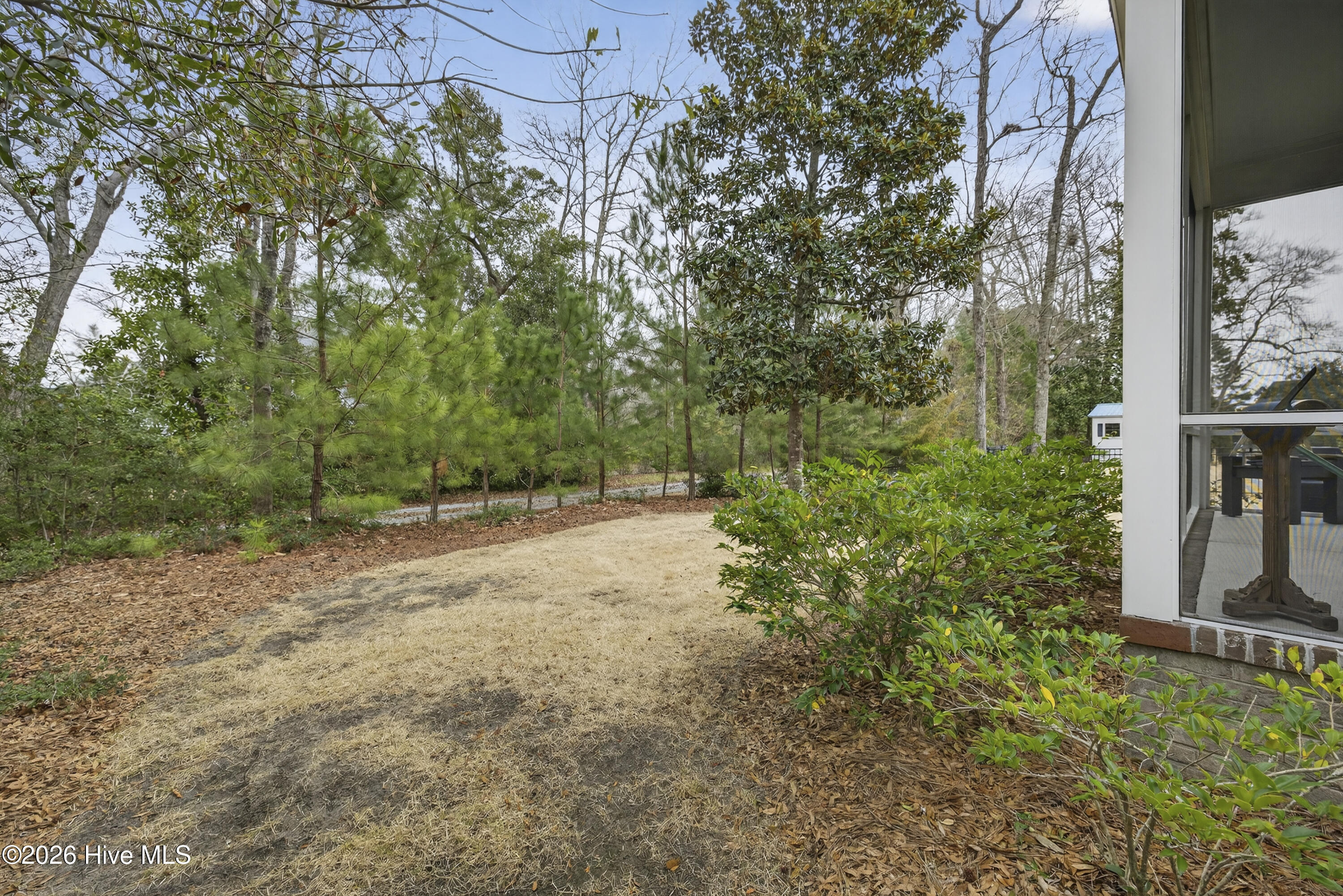 100558157 | Photo 46