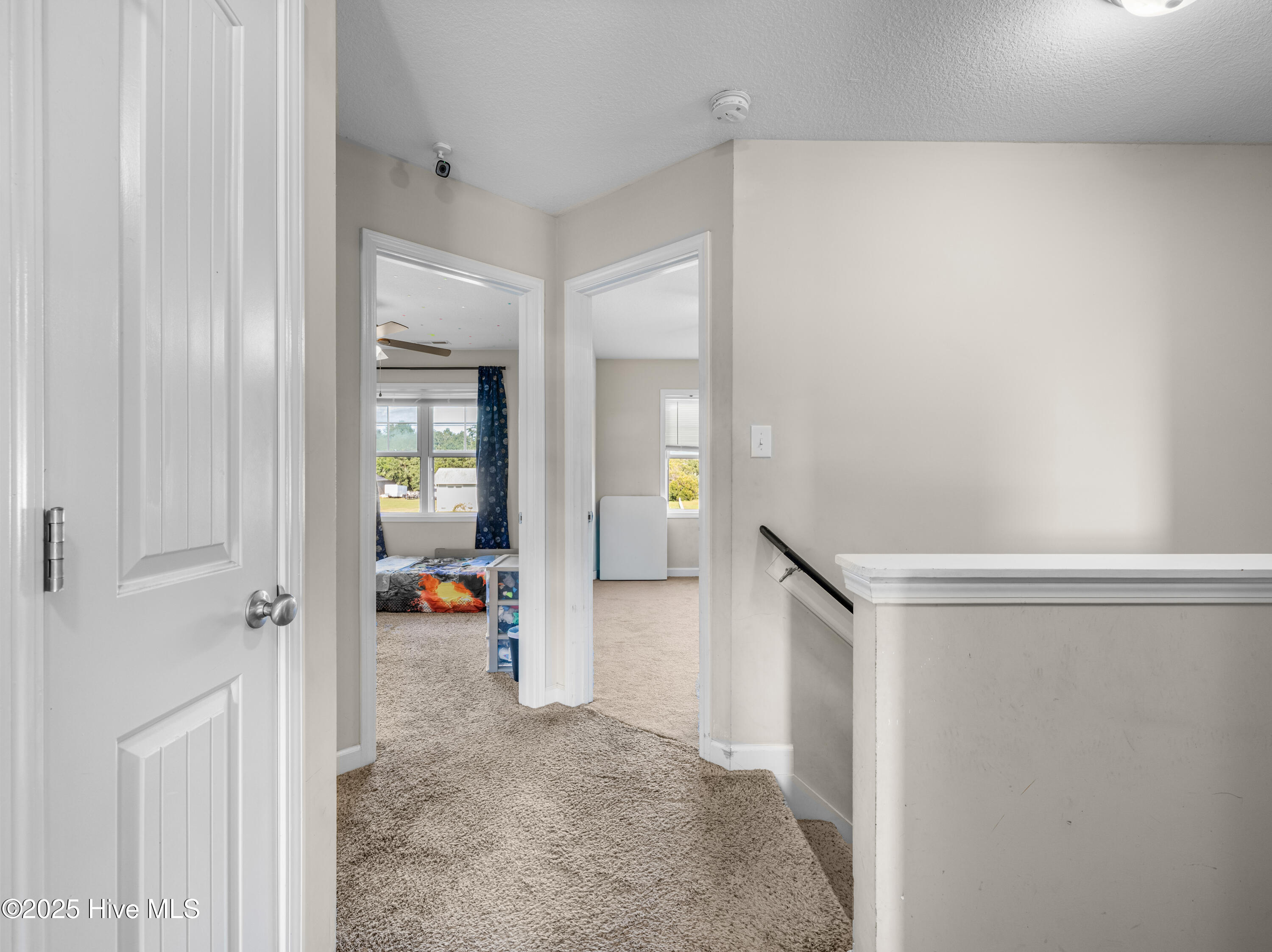 100538122 | Photo 25