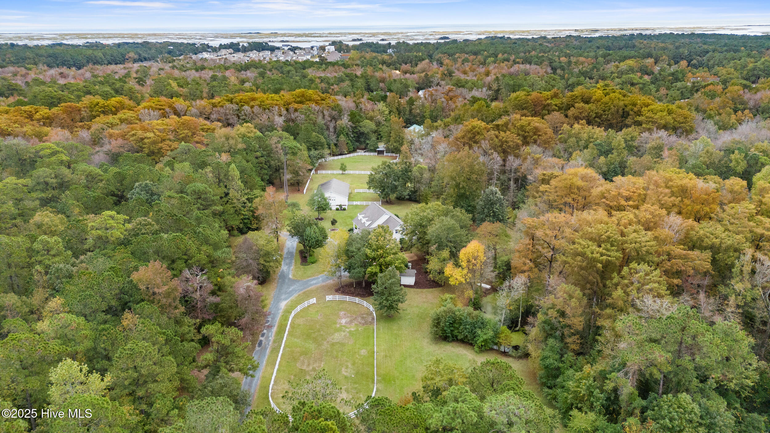 100538720 | Photo 101