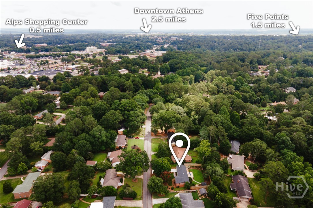 339 Beechwood Drive