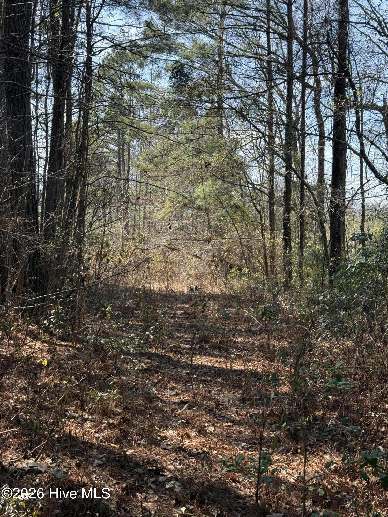 100554571 | Photo 15