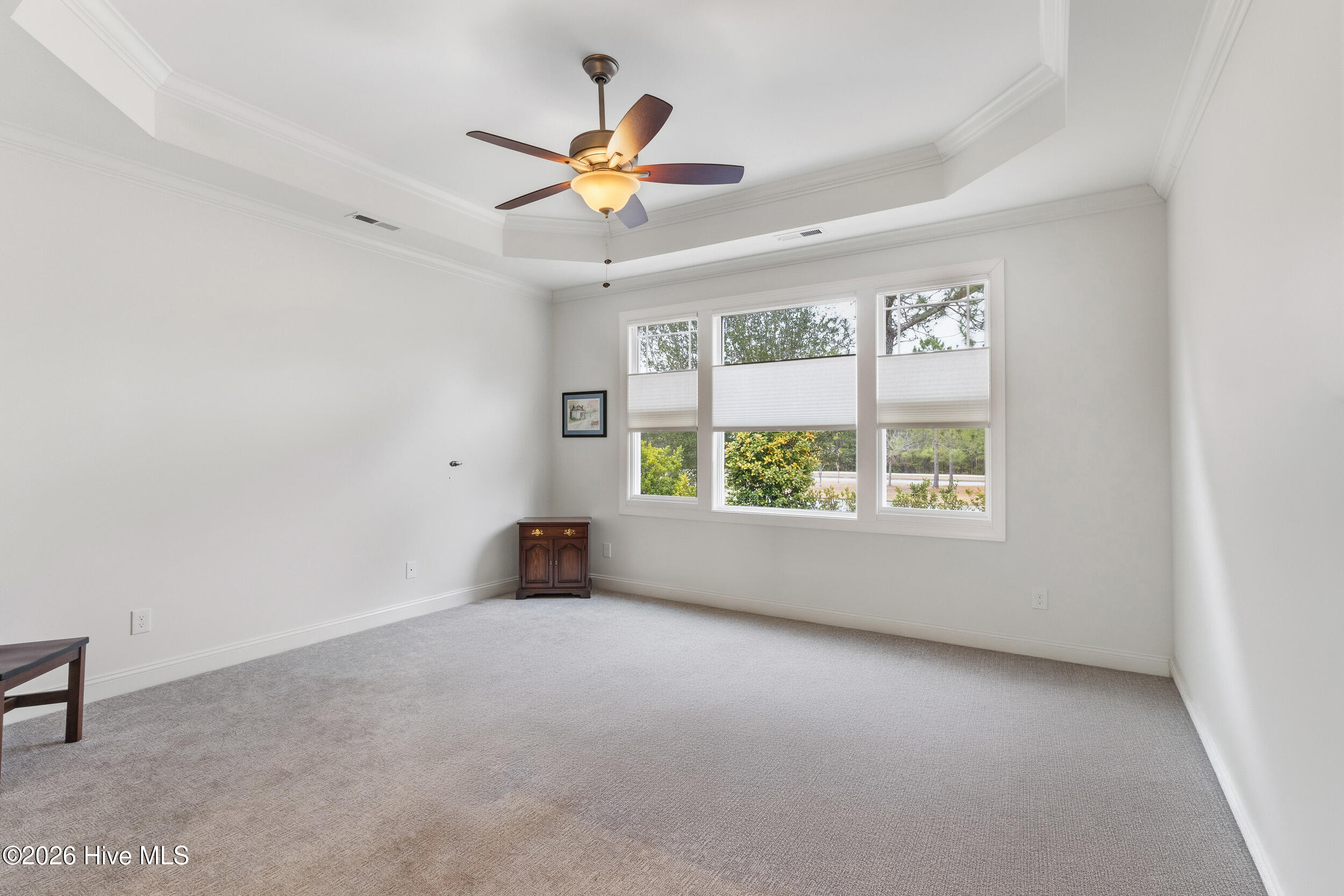 100556114 | Photo 33