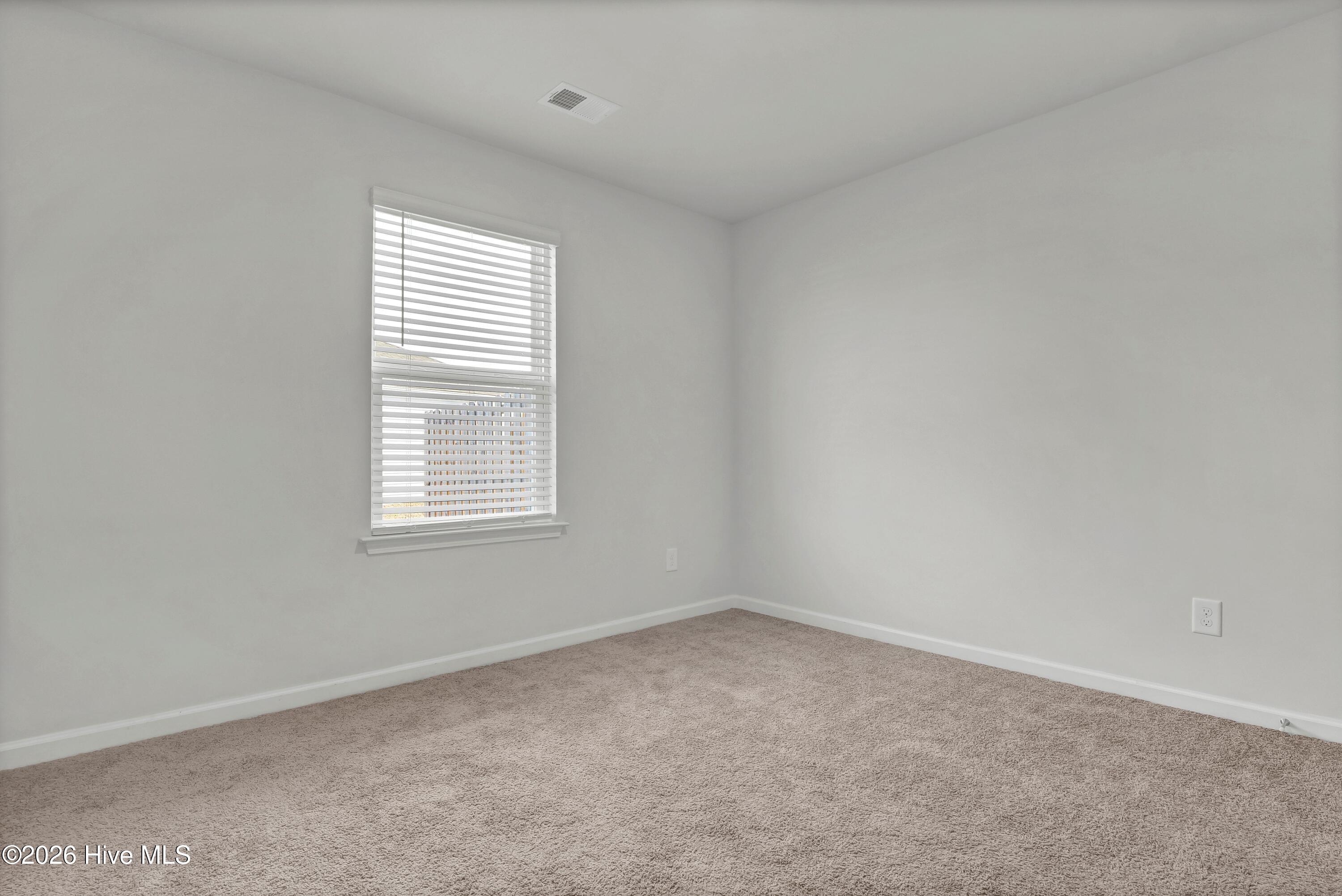 100558236 | Photo 19