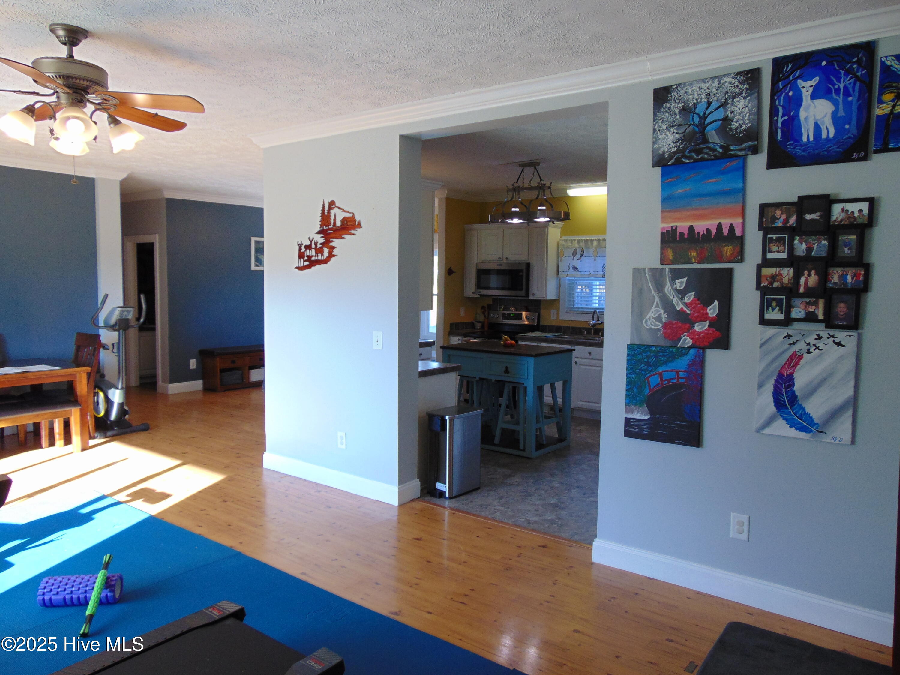 13619 Us Highway 258, Scotland Neck, NC, 27874