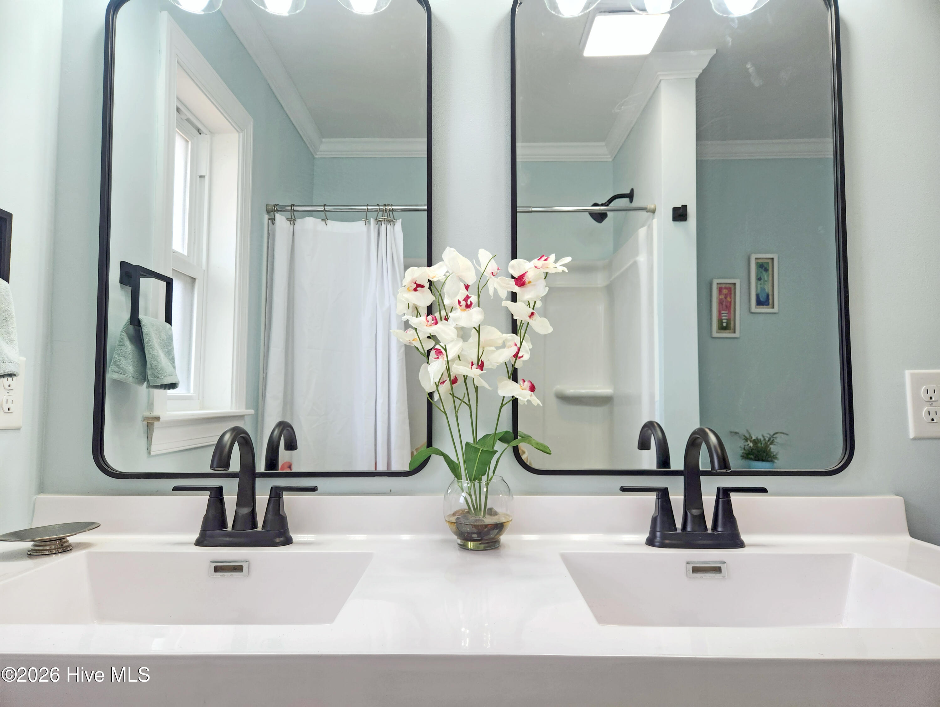 100555298 | Photo 21