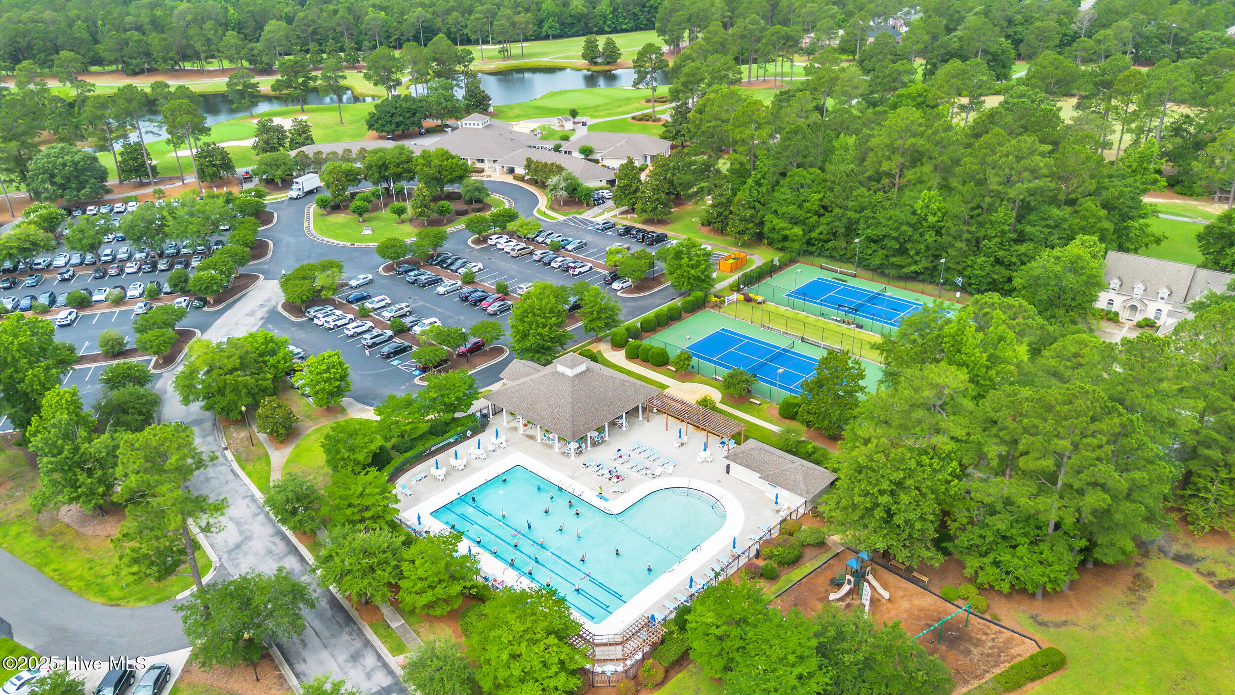 100548095 | Photo 101