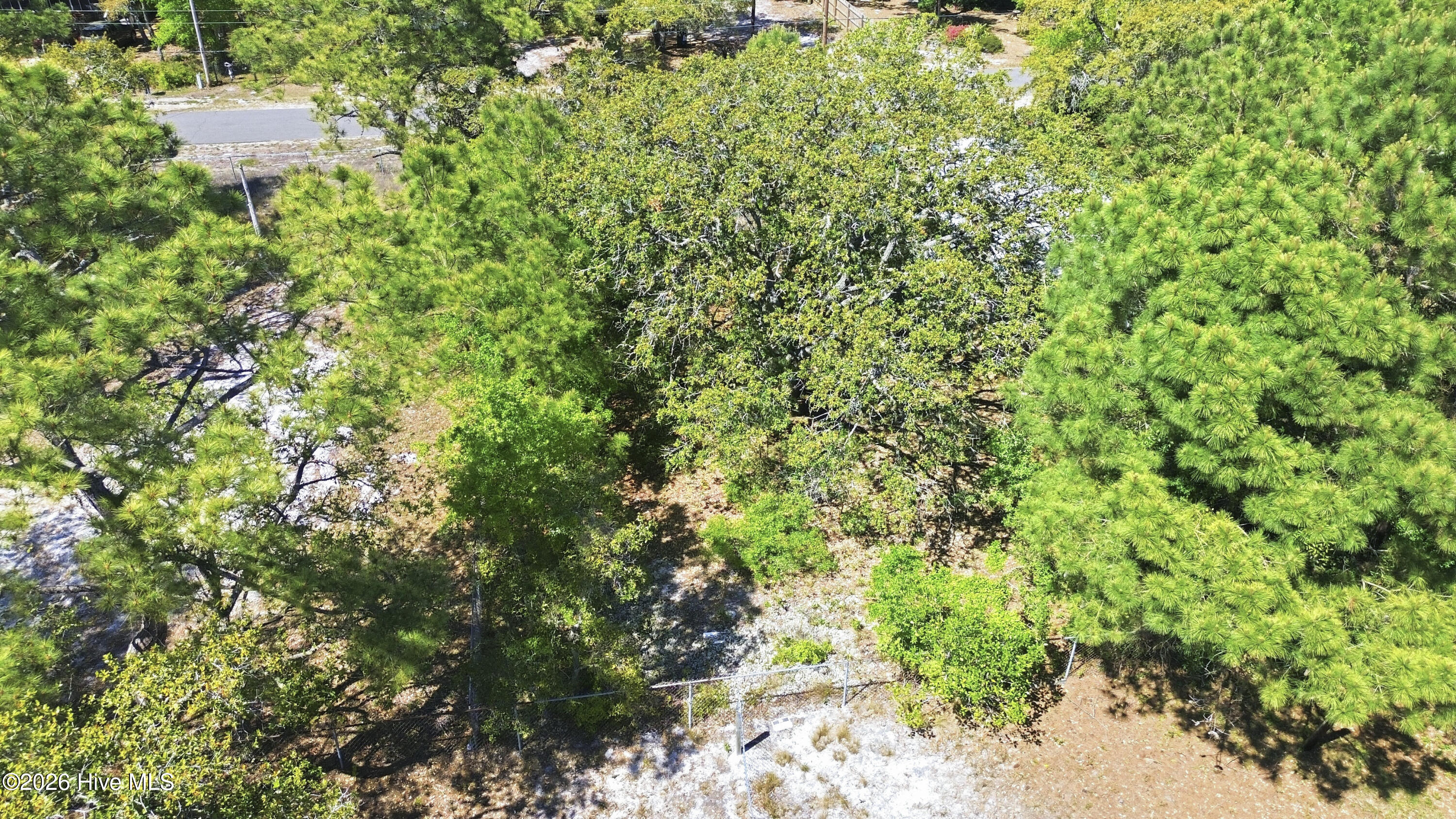 100569346 | Photo 14