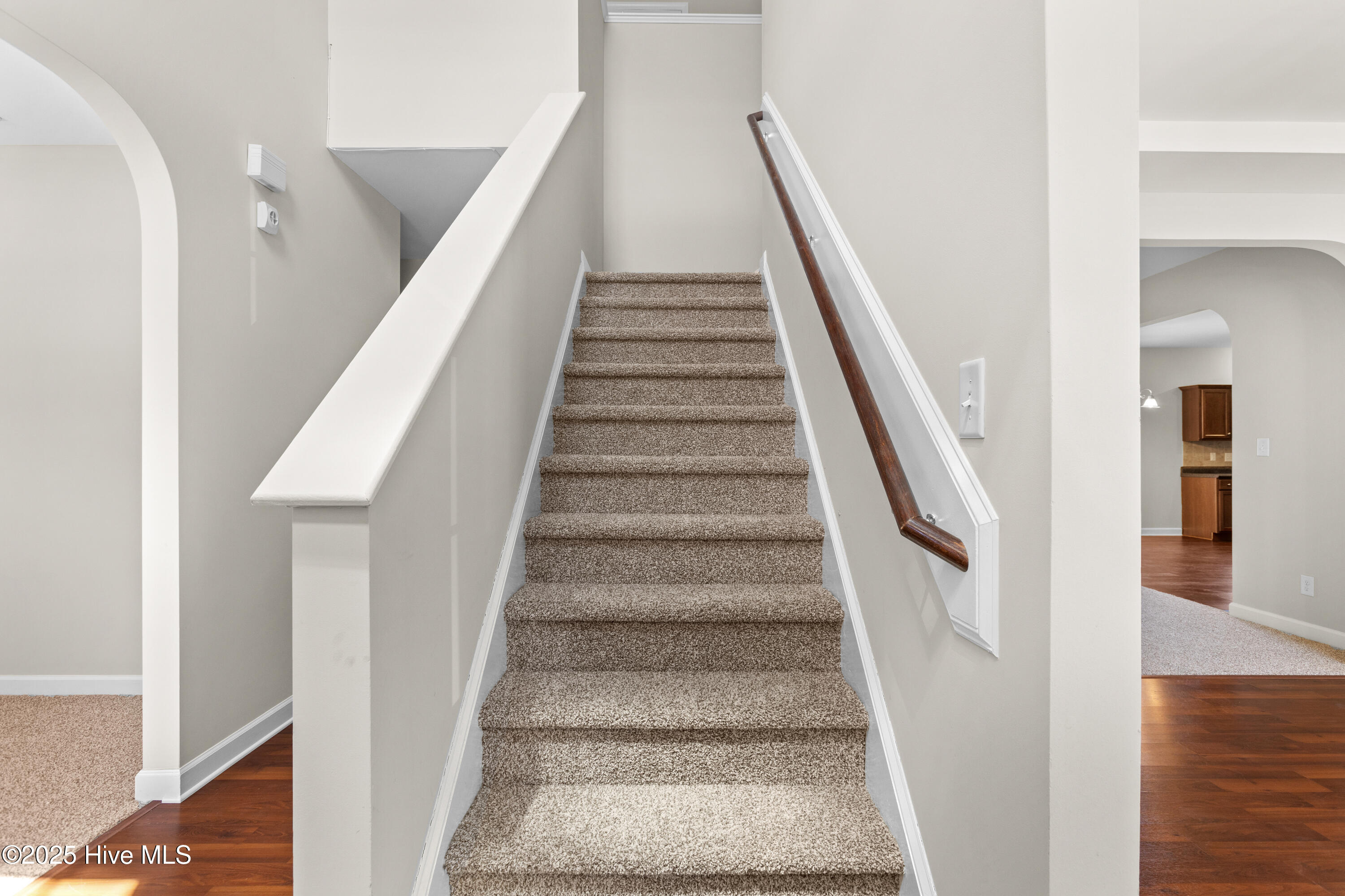 100534668 | Photo 20