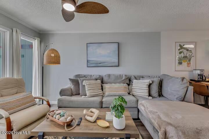 100555086 | Photo 13