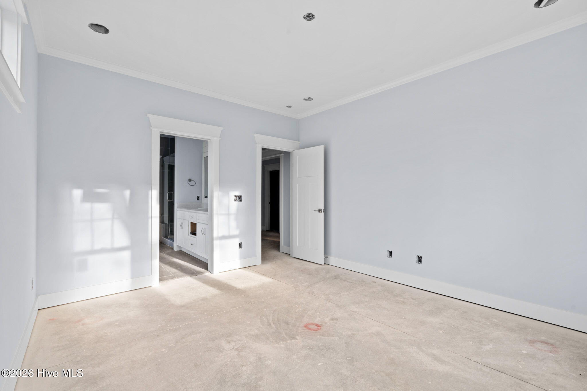 100546665 | Photo 25