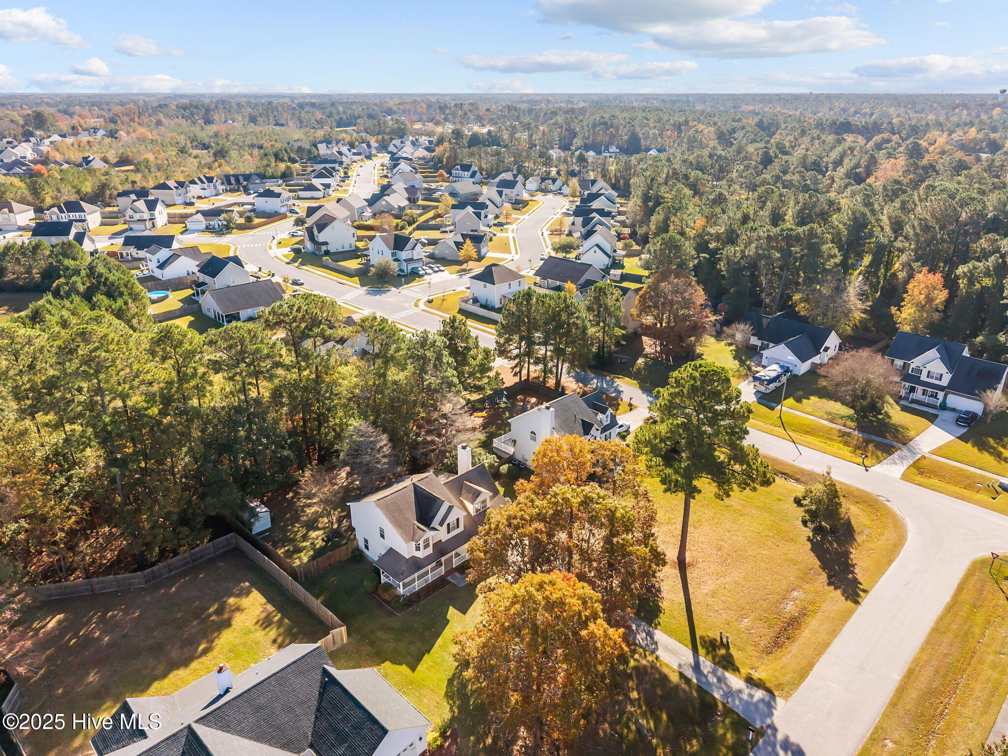 100541595 | Photo 57