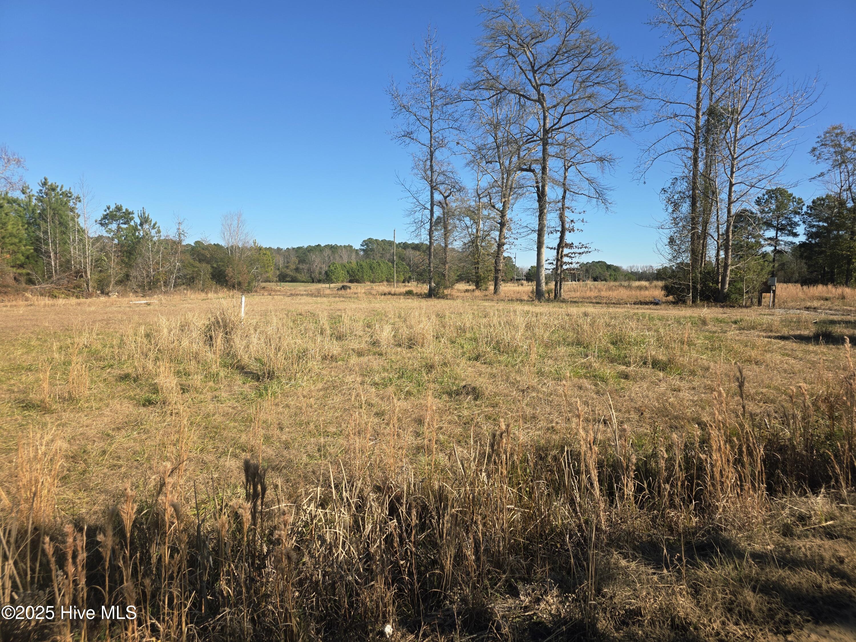 310 Lays Lake Drive, Tabor City, NC, 28463