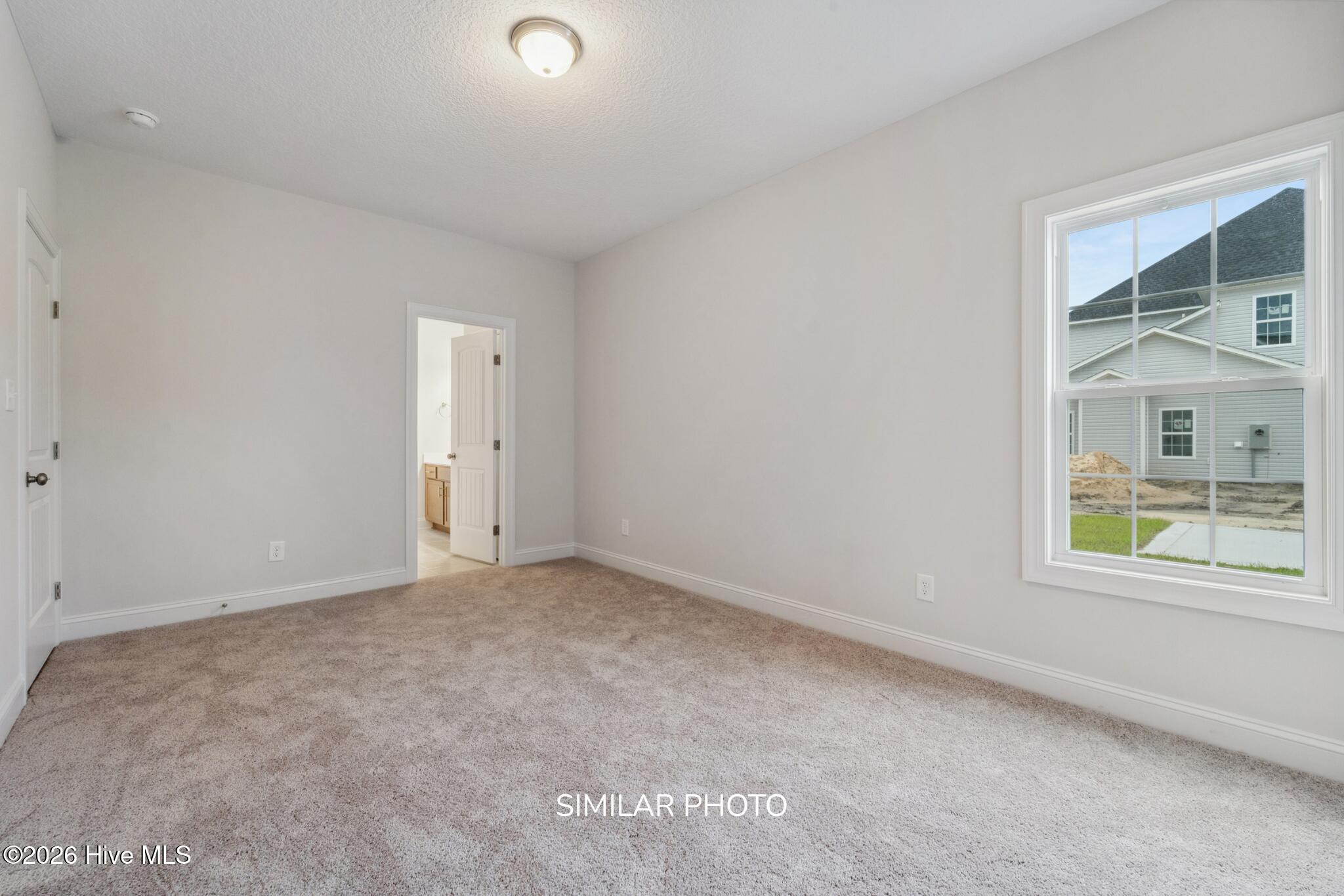 100556220 | Photo 34