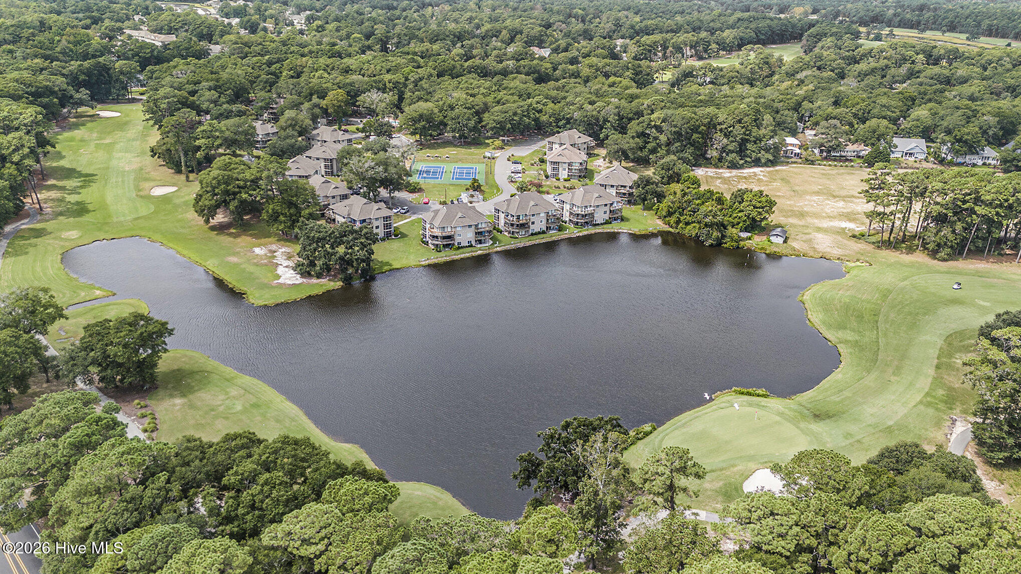 100559918 | Photo 31