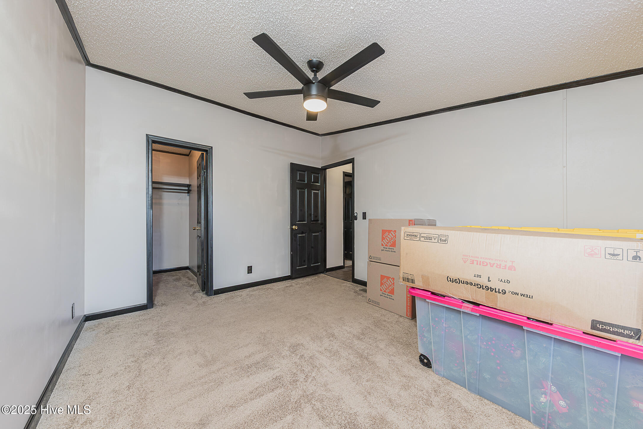 100546784 | Photo 40