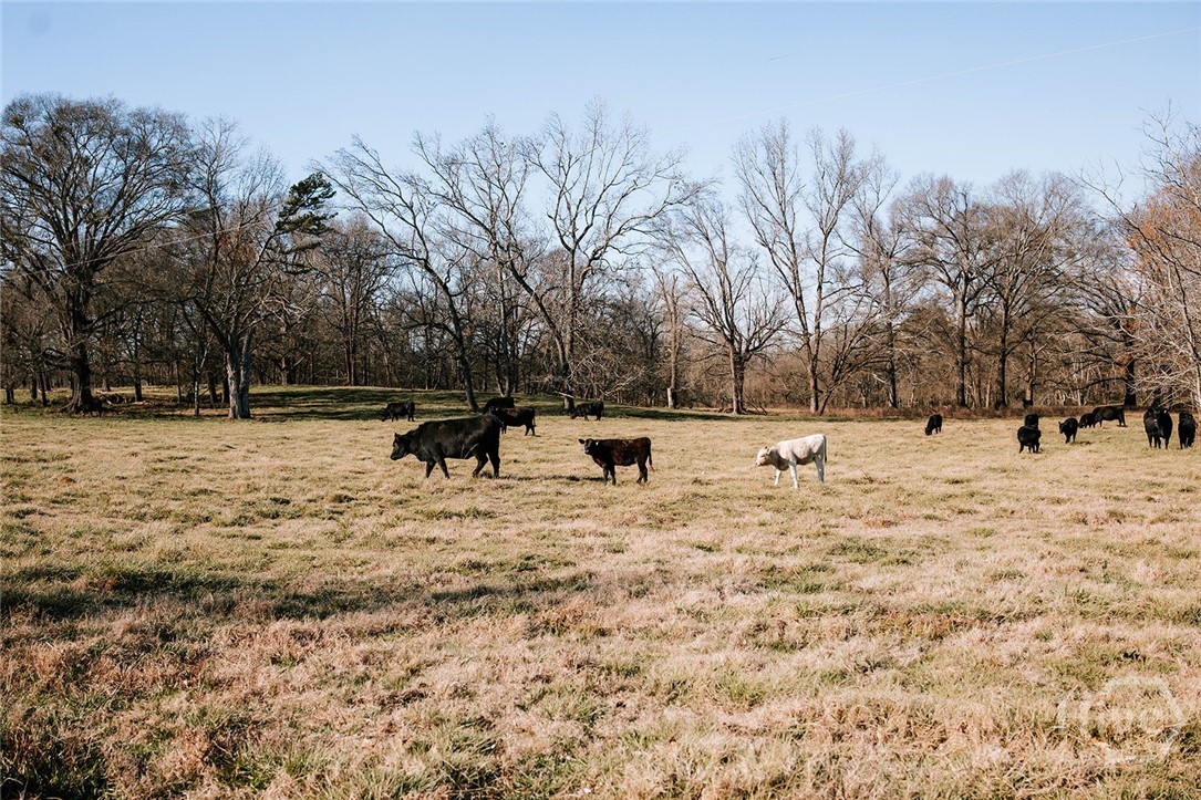 0 Ralph Bridges, Lexington, Georgia, 0 ,Agriculture,For sale,Ralph Bridges,CL355142 0 Ralph Bridges, Lexington, Georgia, 0 ,Agriculture,For sale,Ralph Bridges,CL355142
