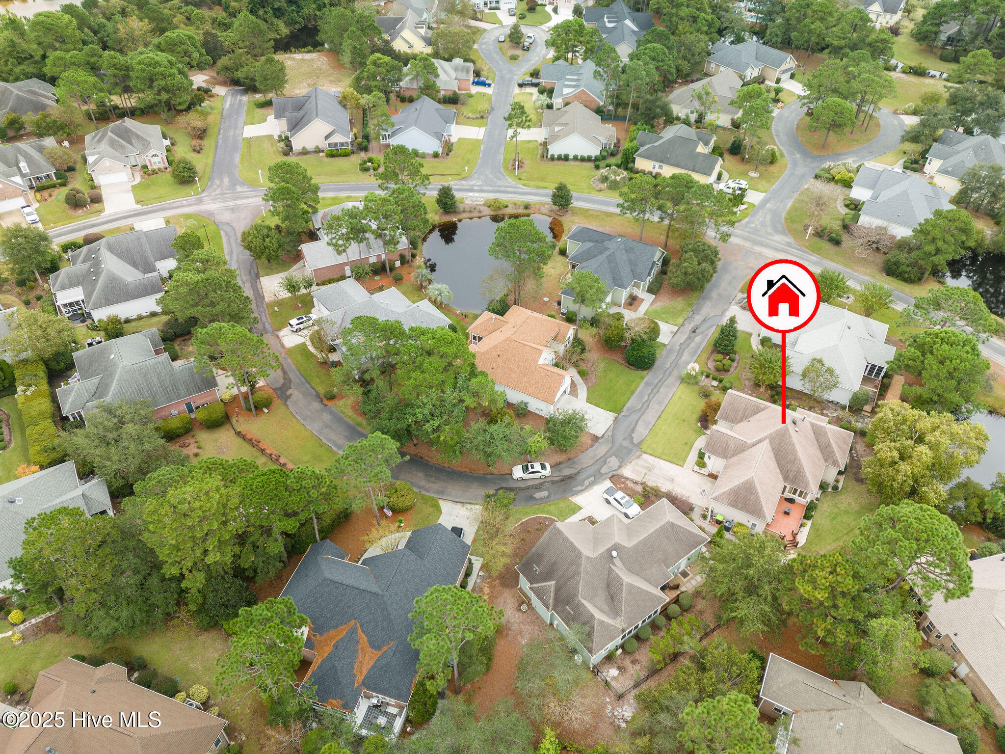 100537327 | Photo 50