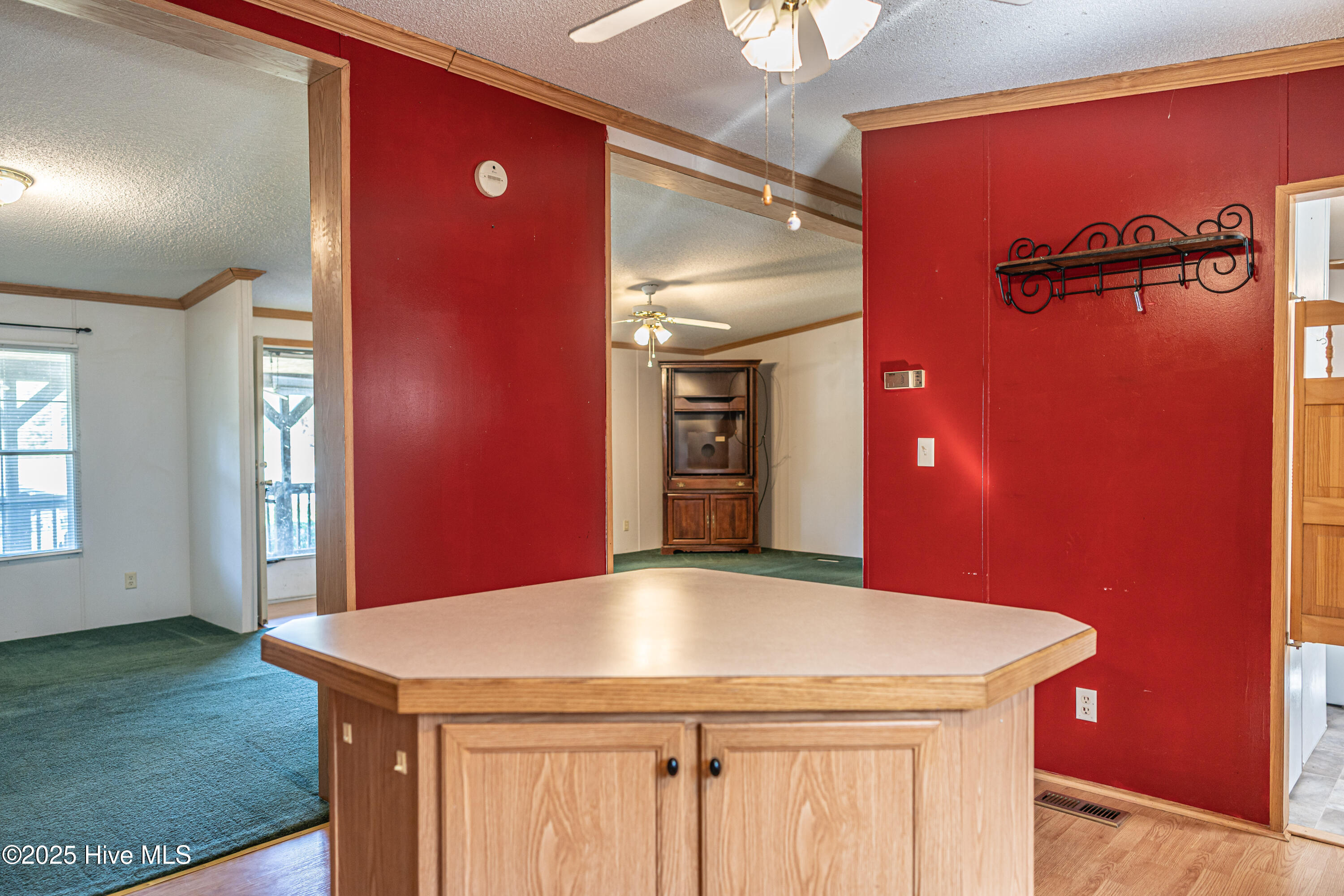 113 Holly Place