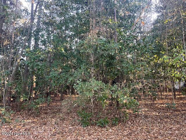 408 Lake Pines Drive, La Grange, NC, 28551