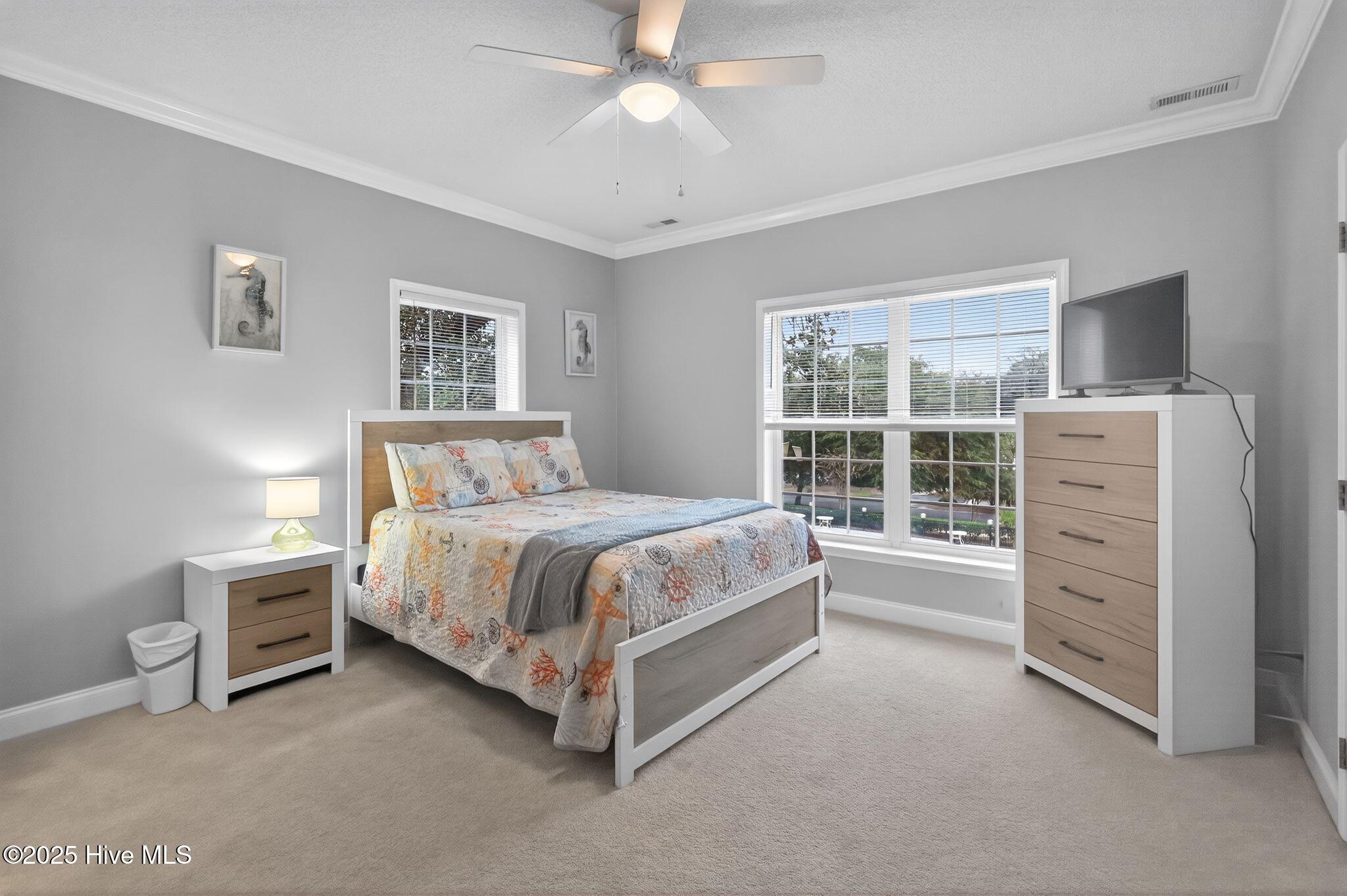 100540046 | Photo 23