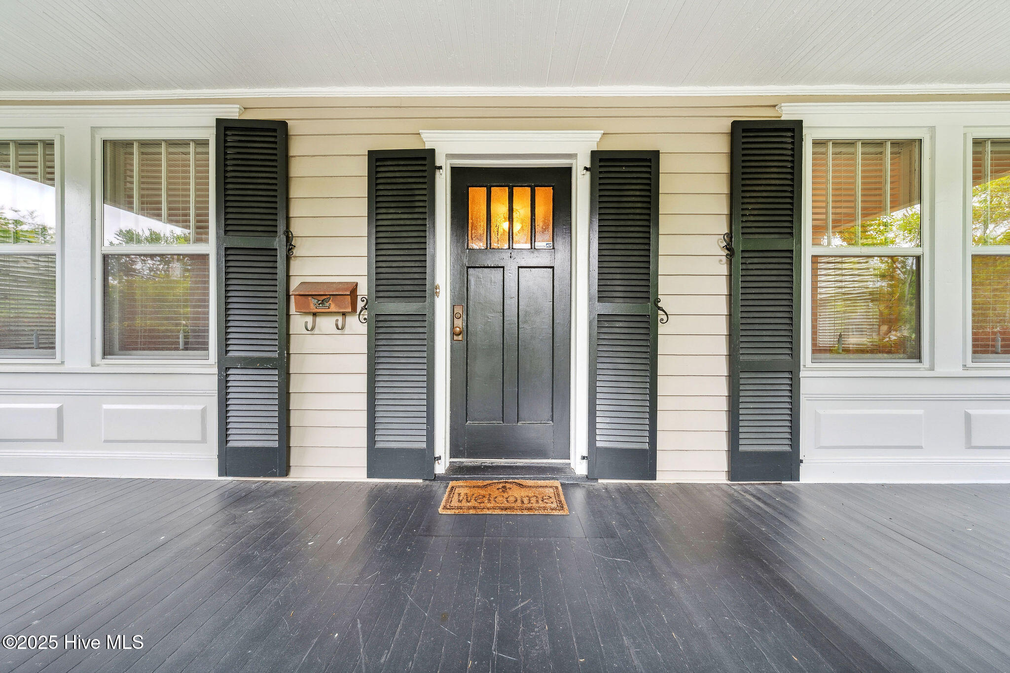 217 N 18th Street, Wilmington, NC 28405 – photo 18: 217N18thSt-241