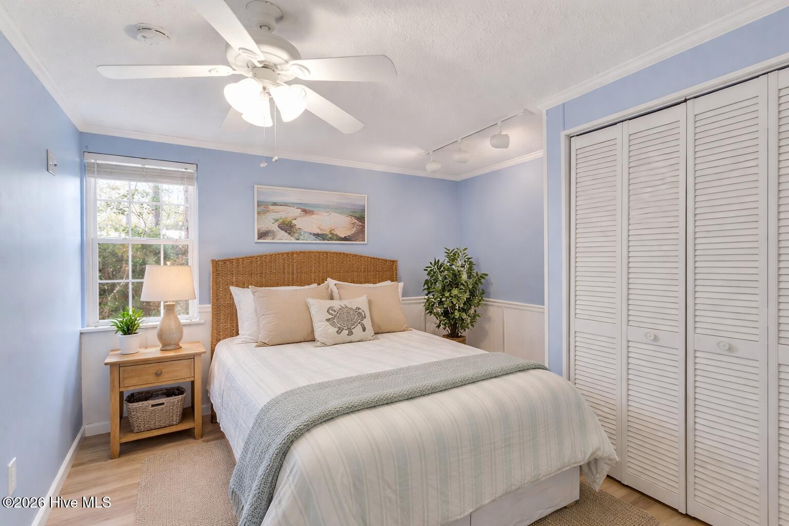 100552632 | Photo 11