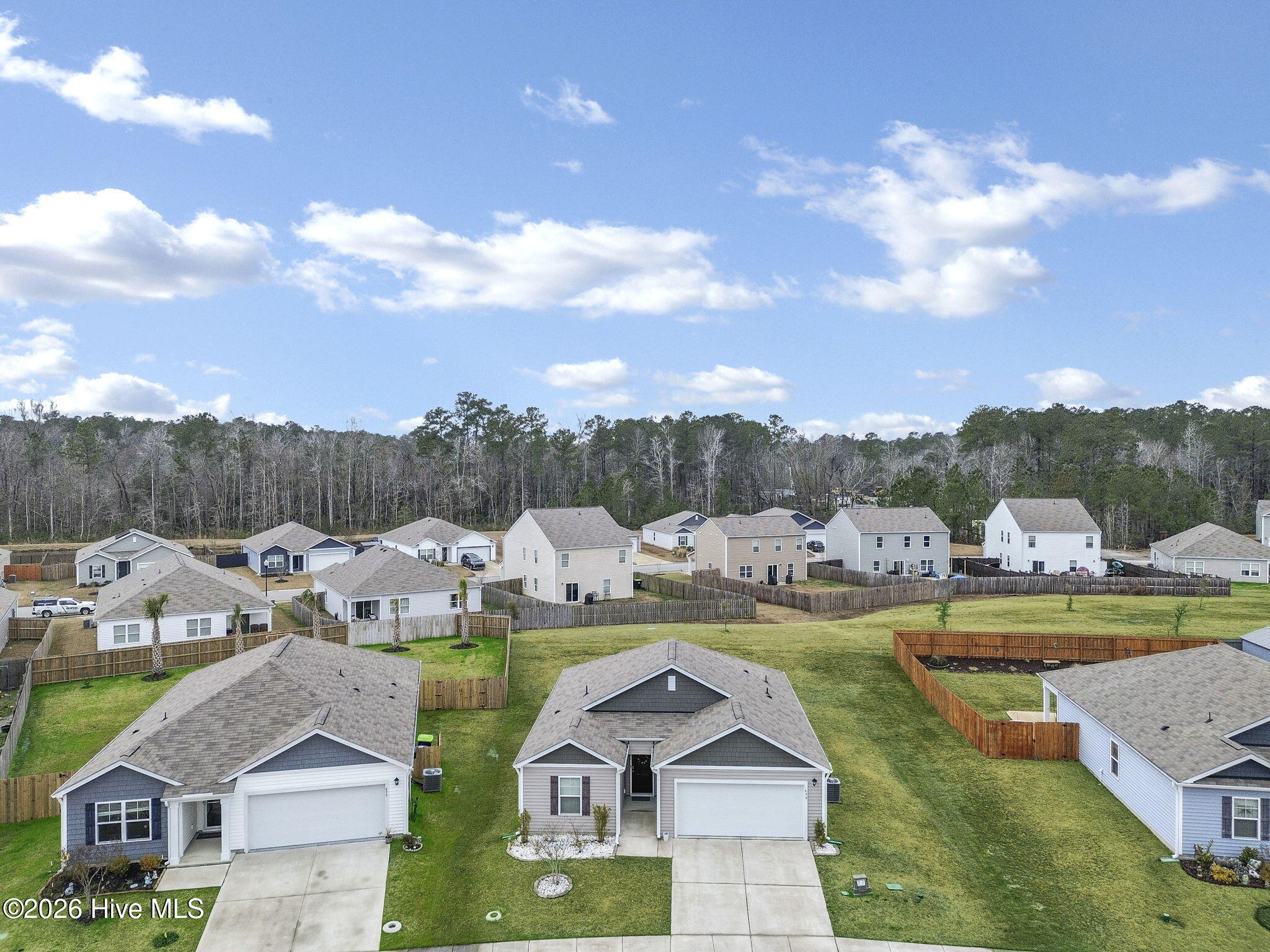 100564781 | Photo 29