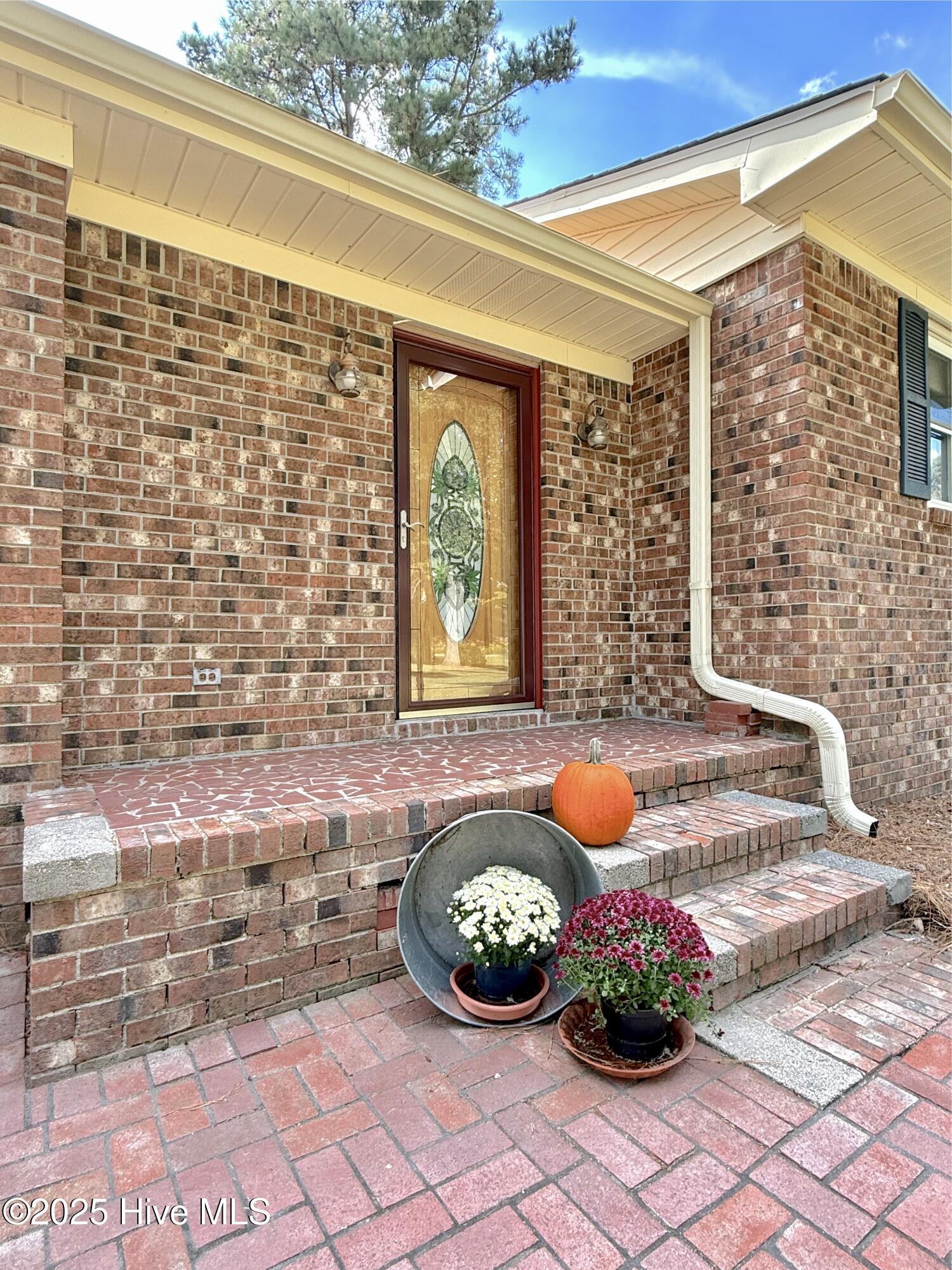 Homes for sale in Pantego, NC | 1591 Pat'S Rd, Pantego, NC 27860 | MLS# 100534781