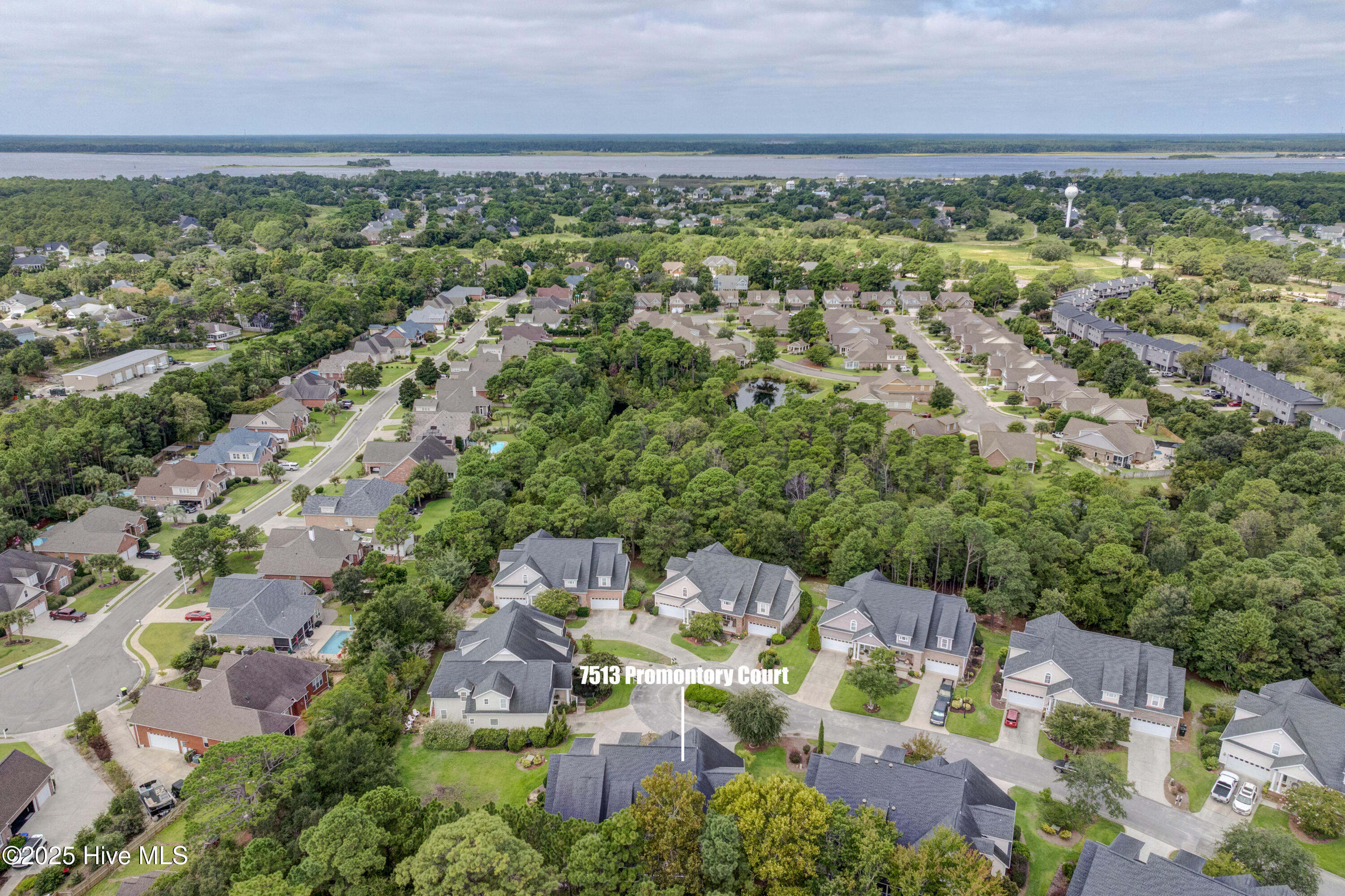 100526585 | Photo 62