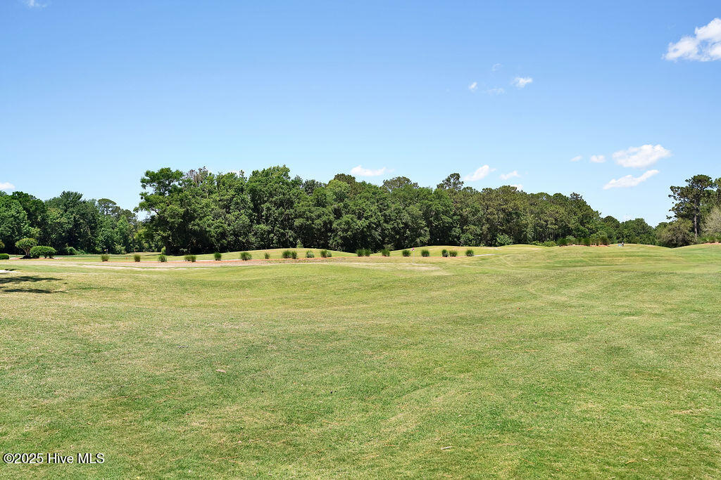 100511550 | Photo 85