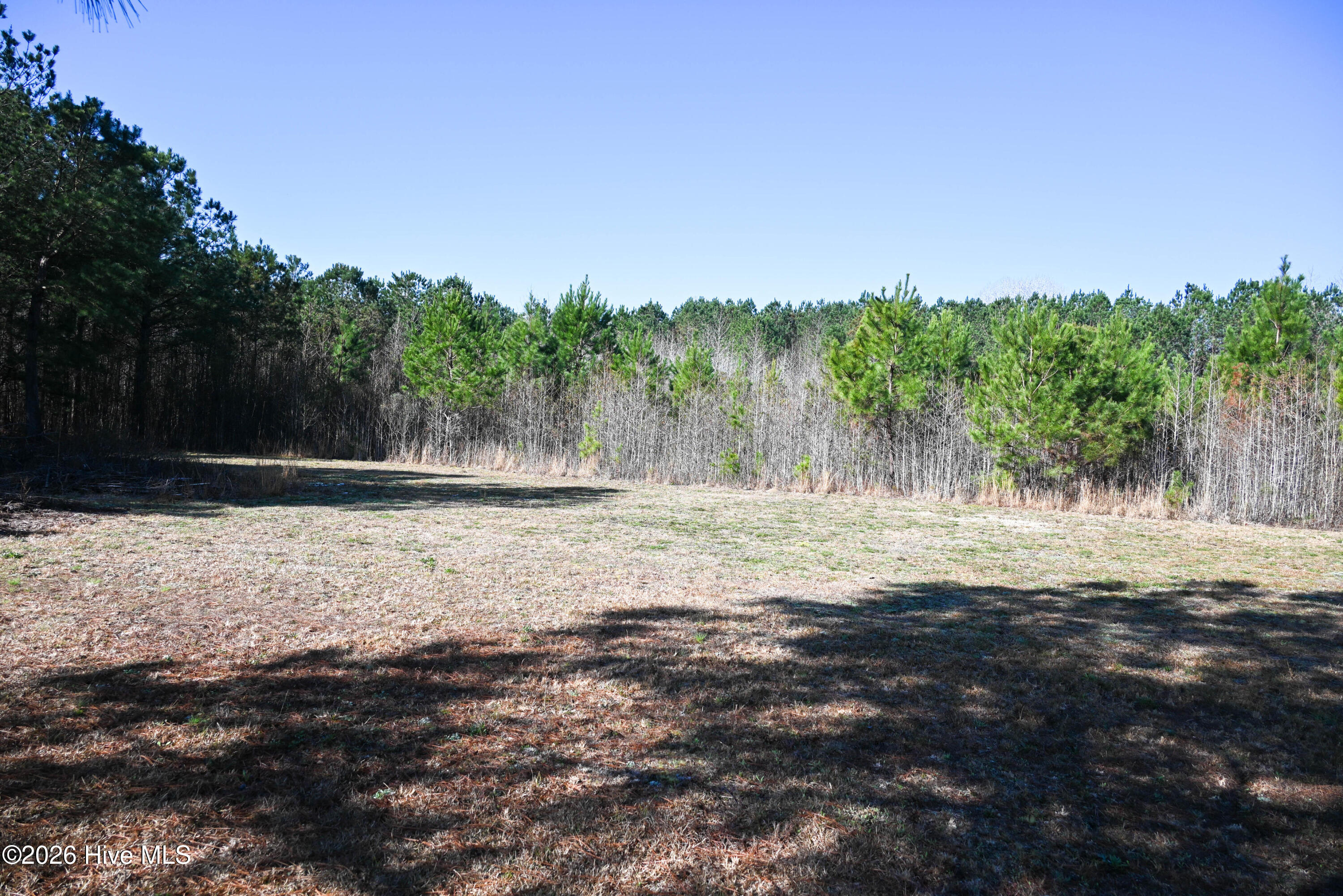 100560038 | Photo 33