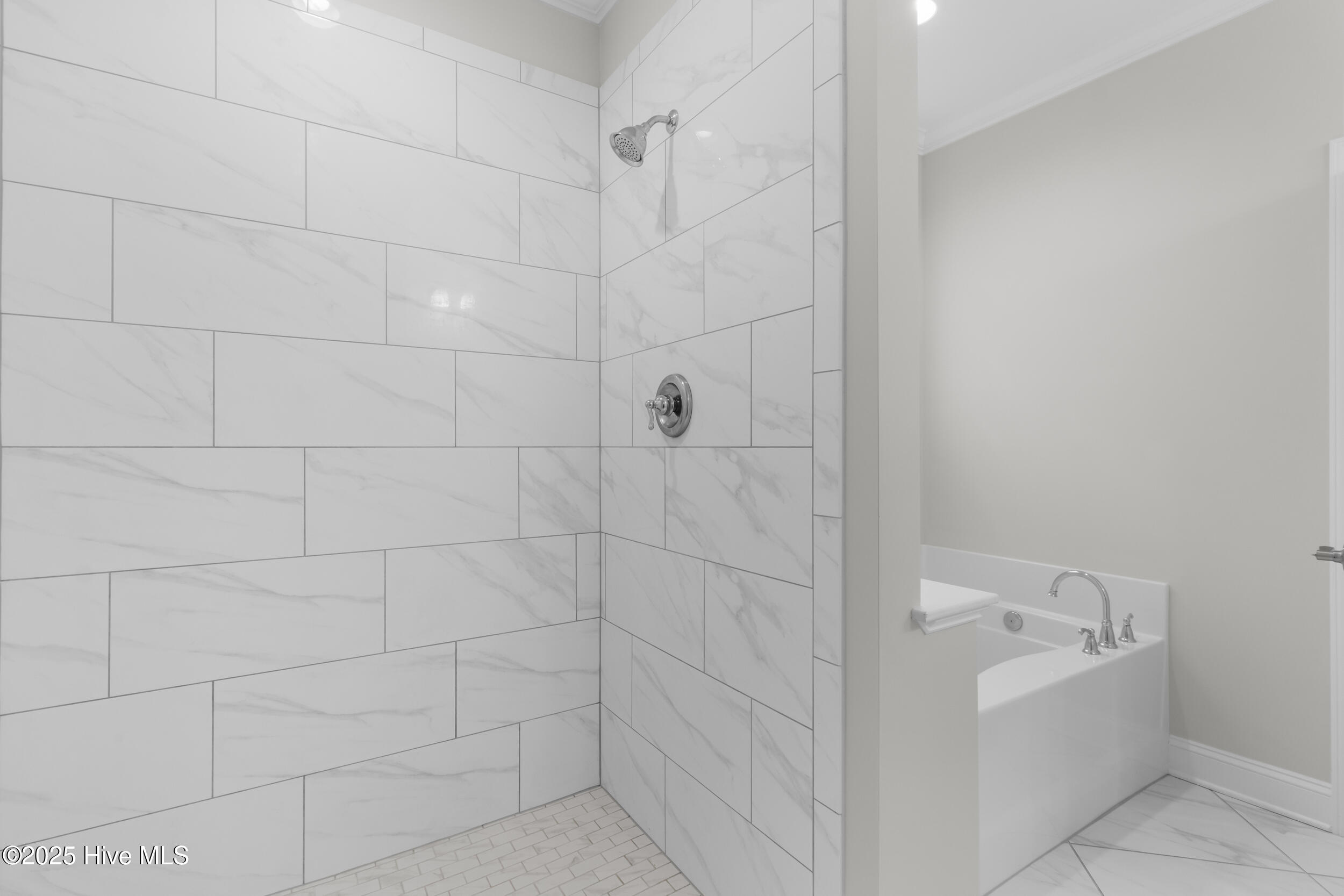 100561521 | Photo 23