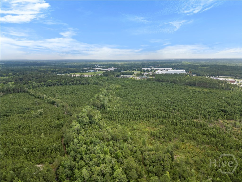 0 Rahn Station Road, Rincon, GA, 31326