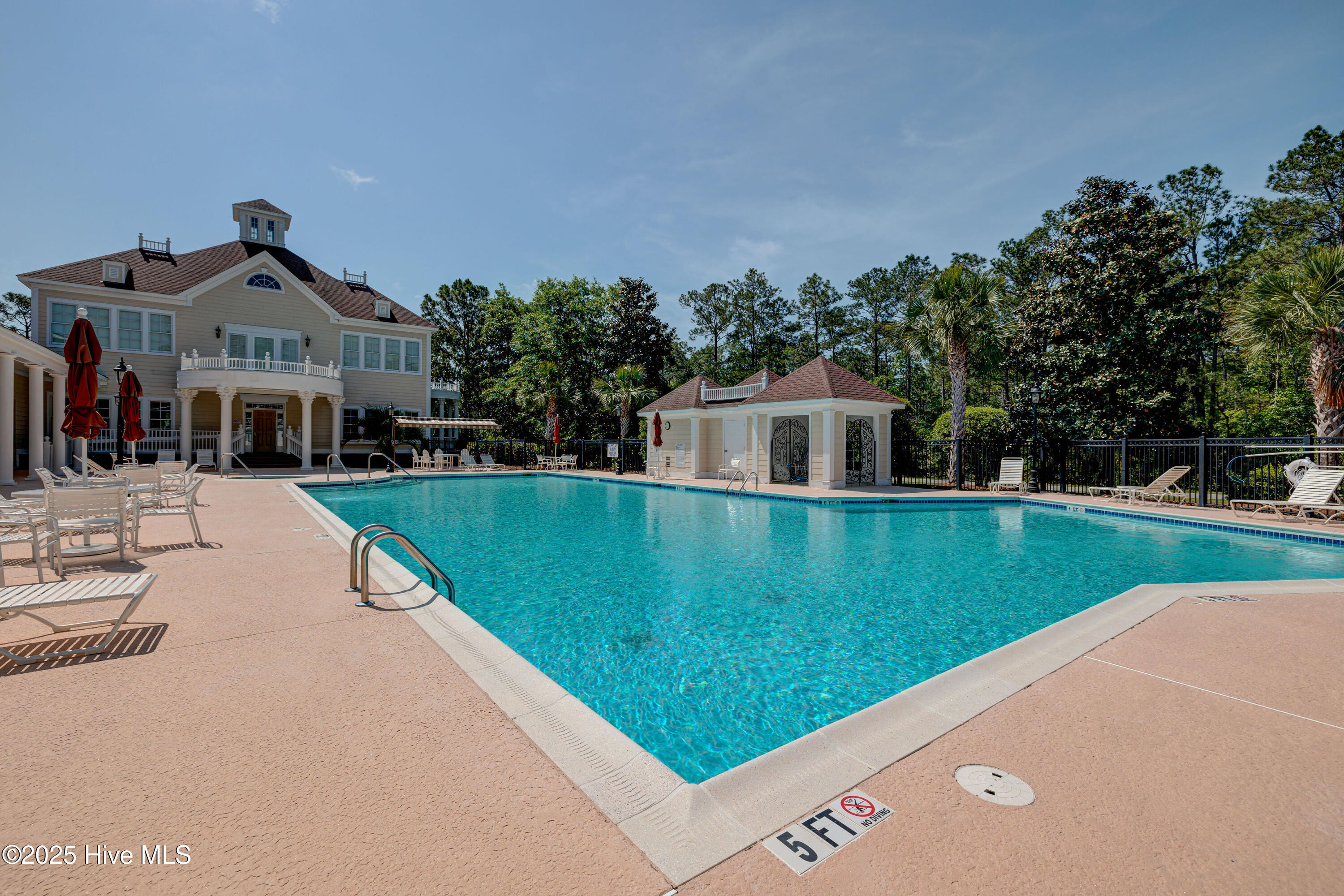 100547497 | Photo 35