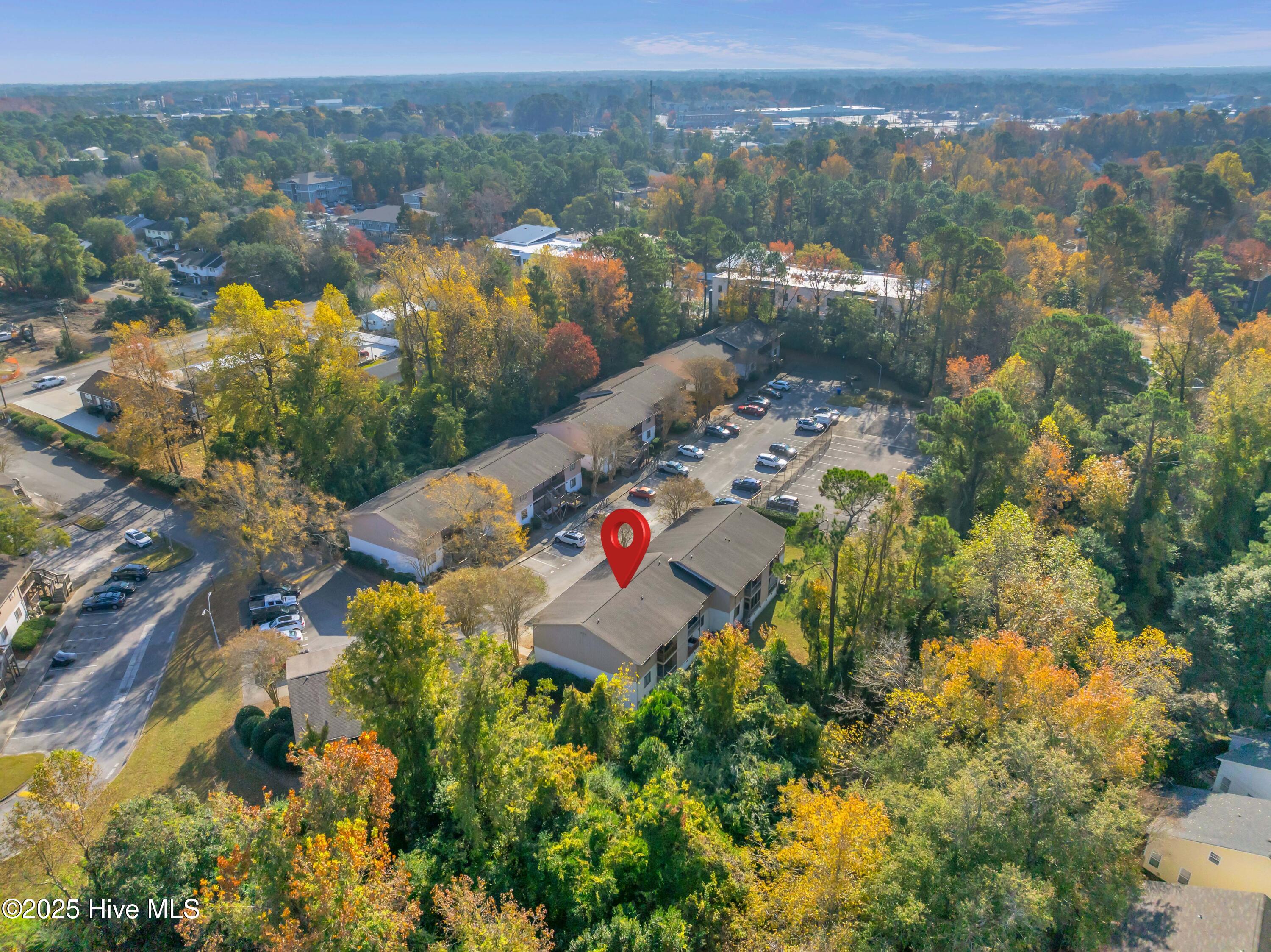 100542371 | Photo 21