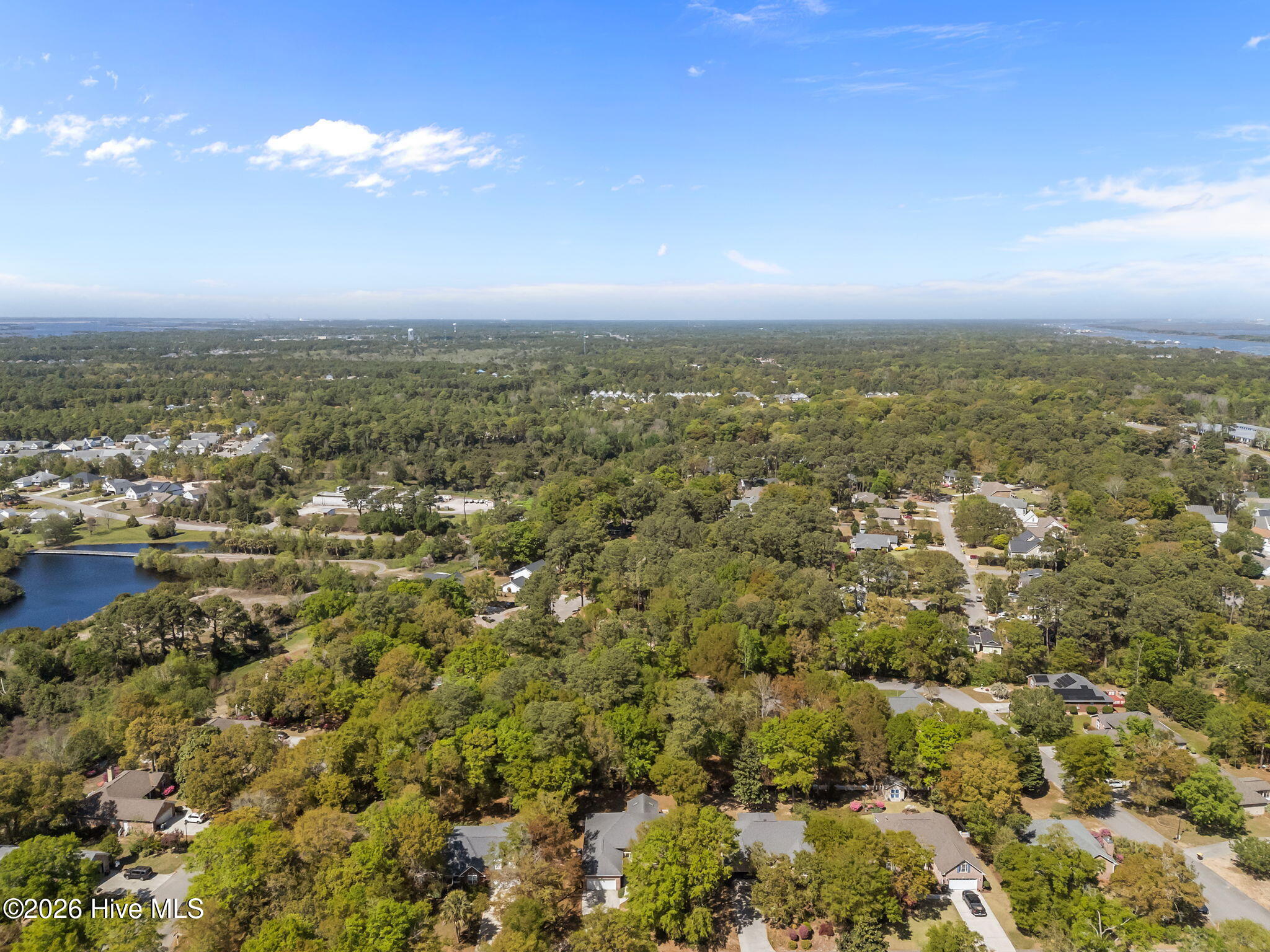 100565188 | Photo 50