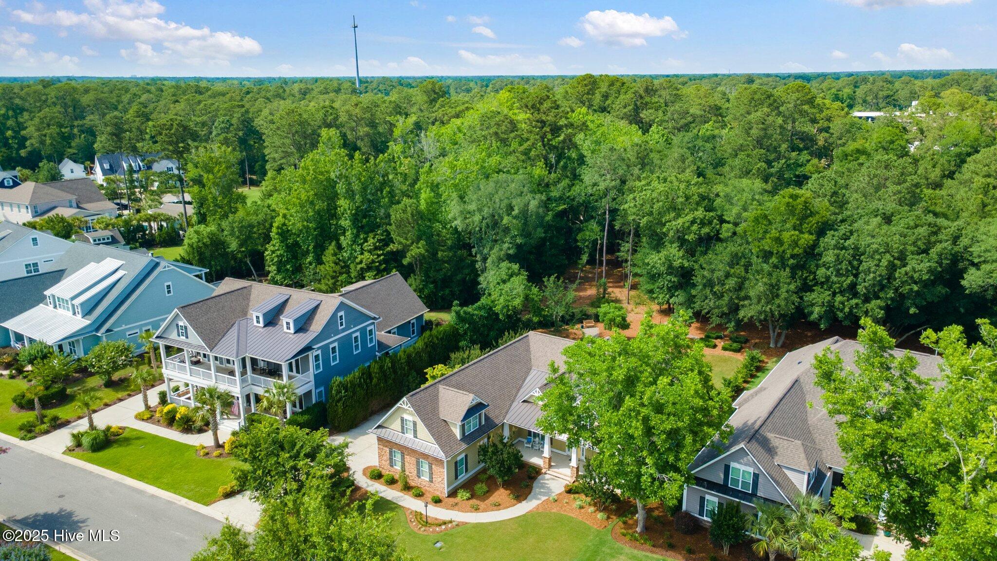 100508421 | Photo 87