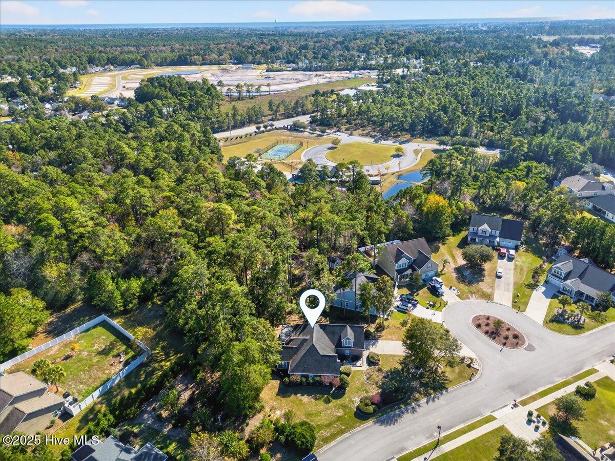 100539254 | Photo 54