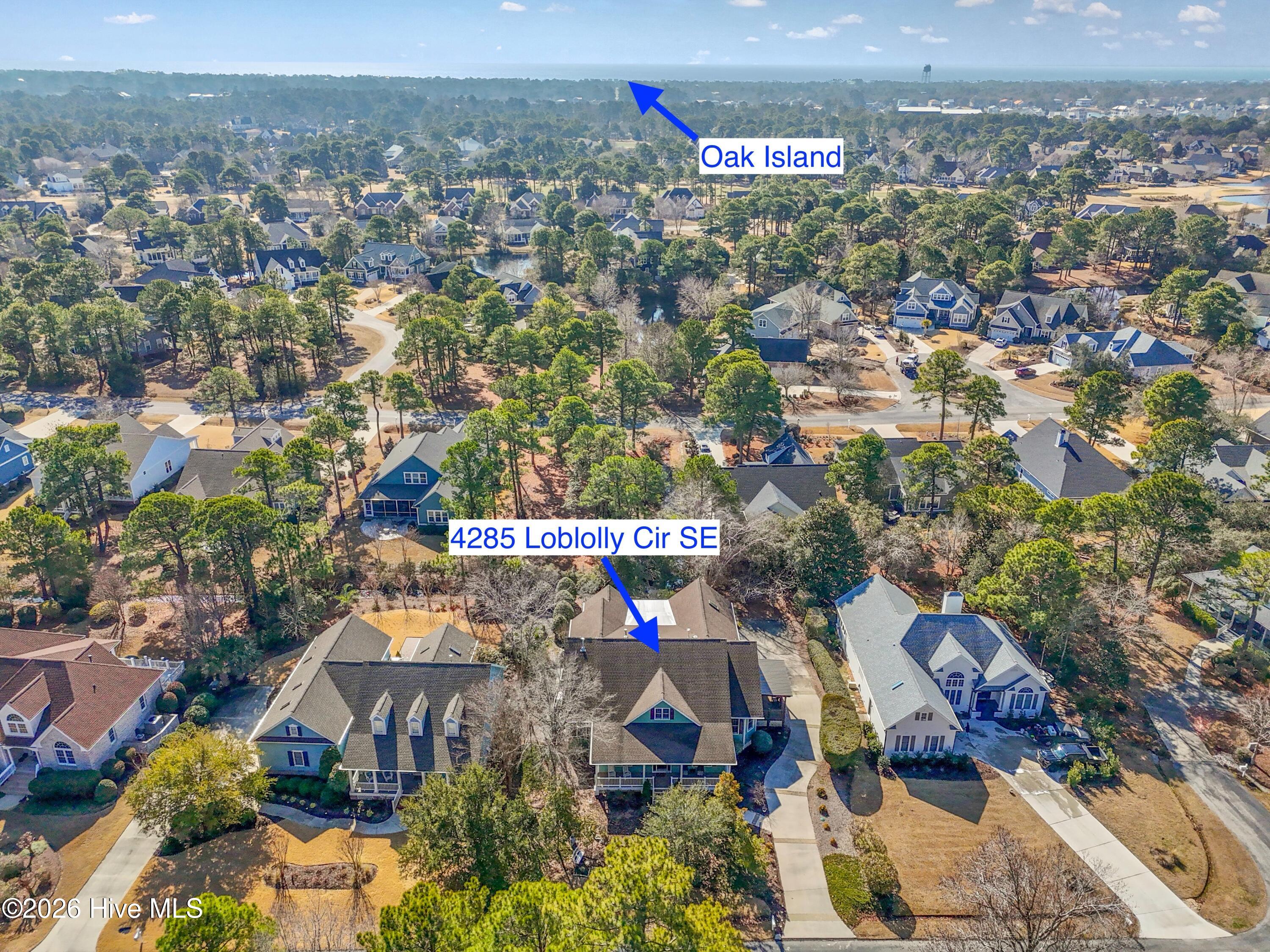 100556962 | Photo 59