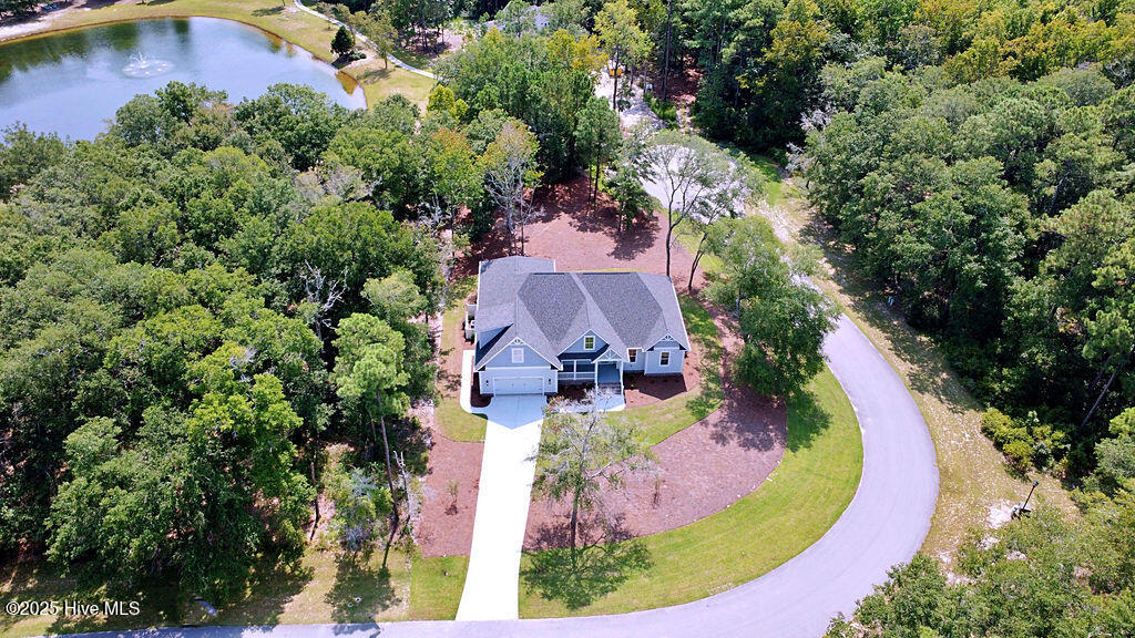 100499257 | Photo 53