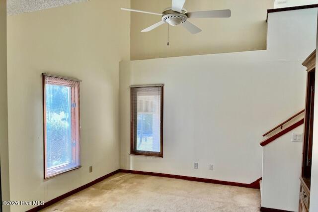 100531930 | Photo 24