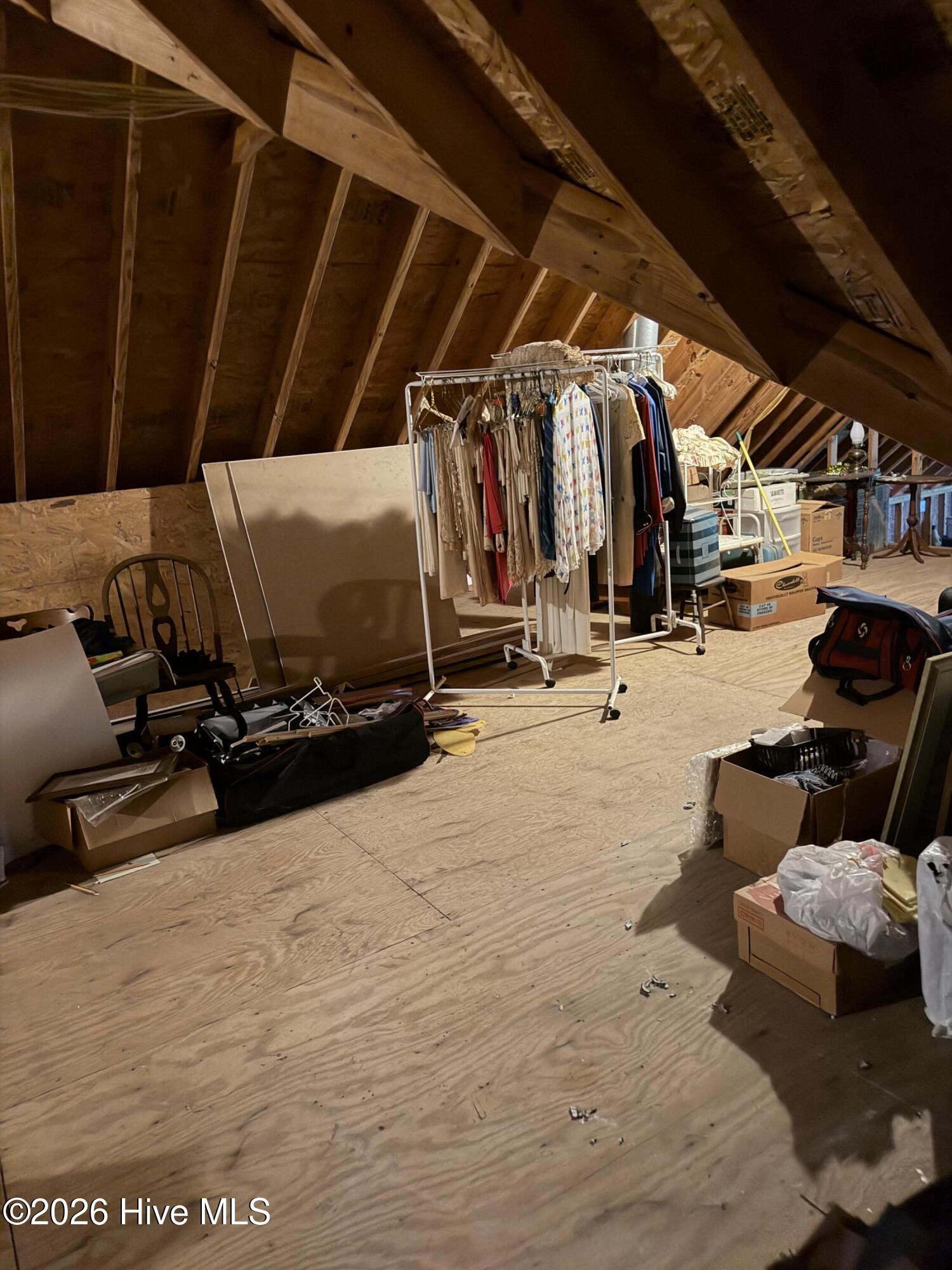 Unfinished space above the garage.
