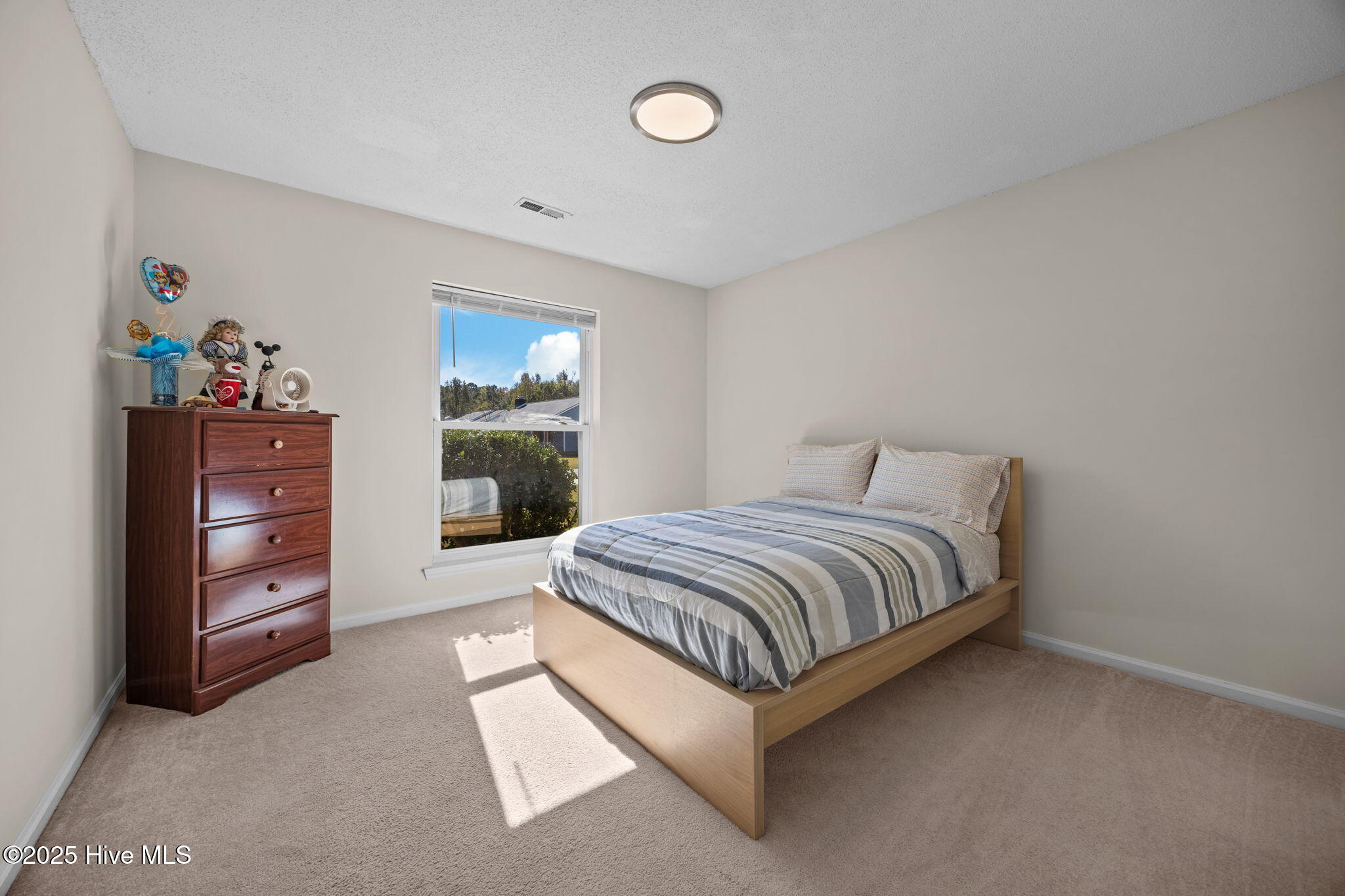 100515251 | Photo 11