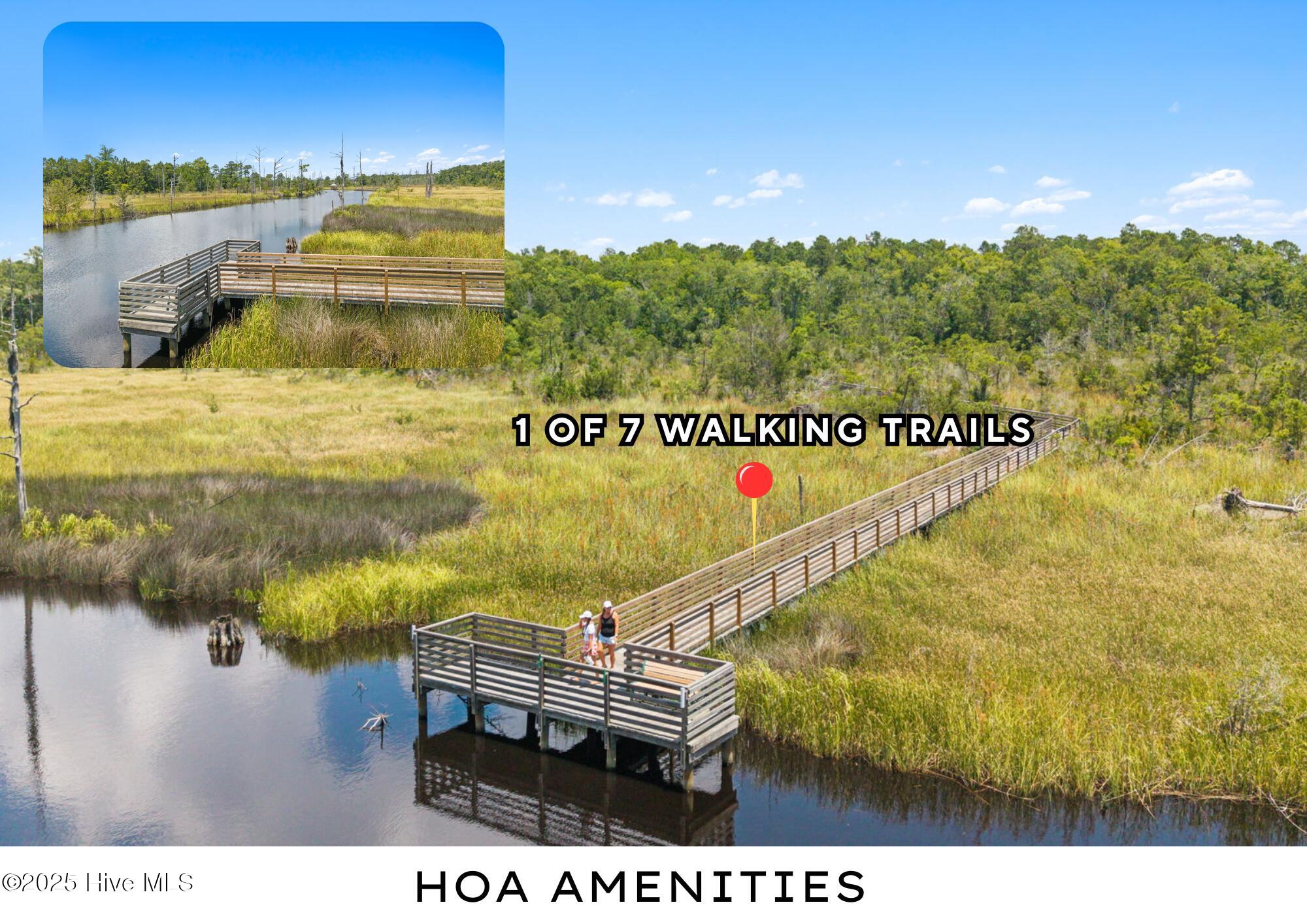 100516887 | Photo 72