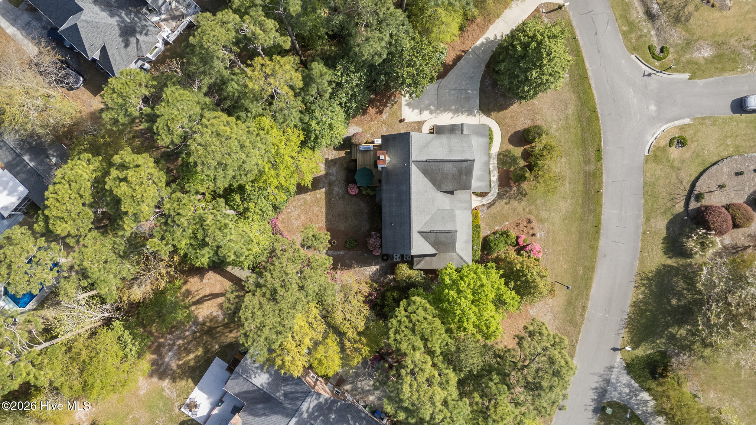 100564035 | Photo 56